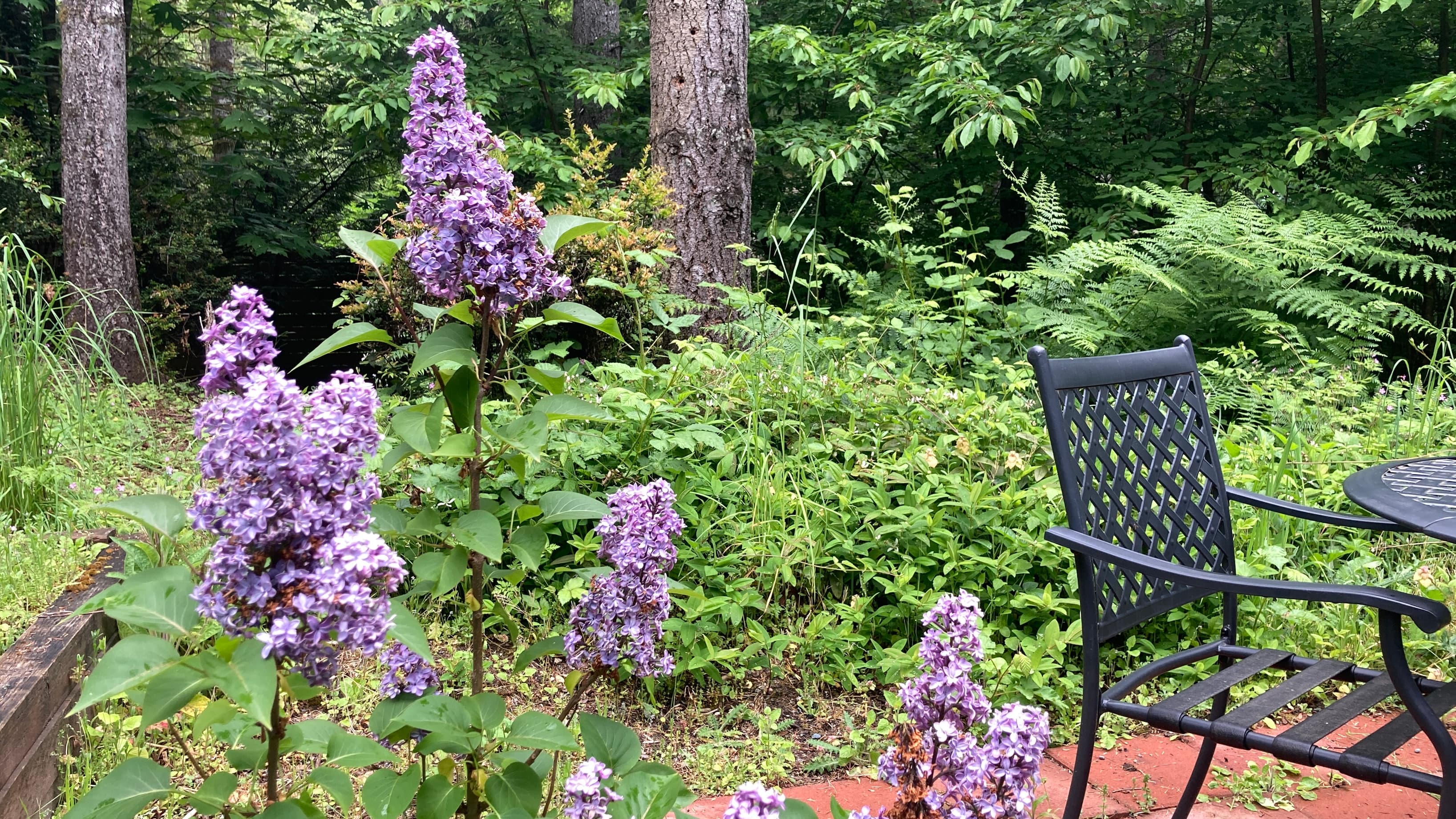 Outdoor shared space table and chairs.