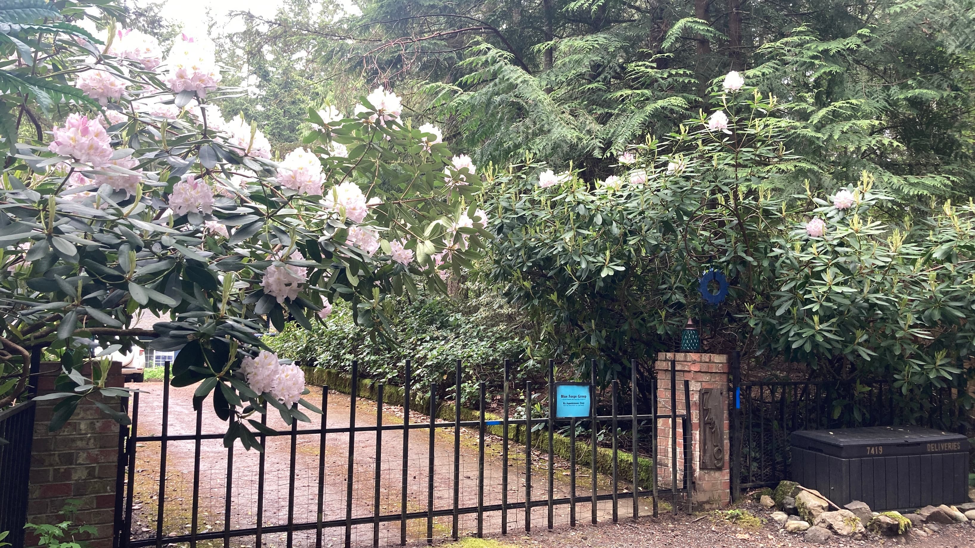 Our gated campus of studios.