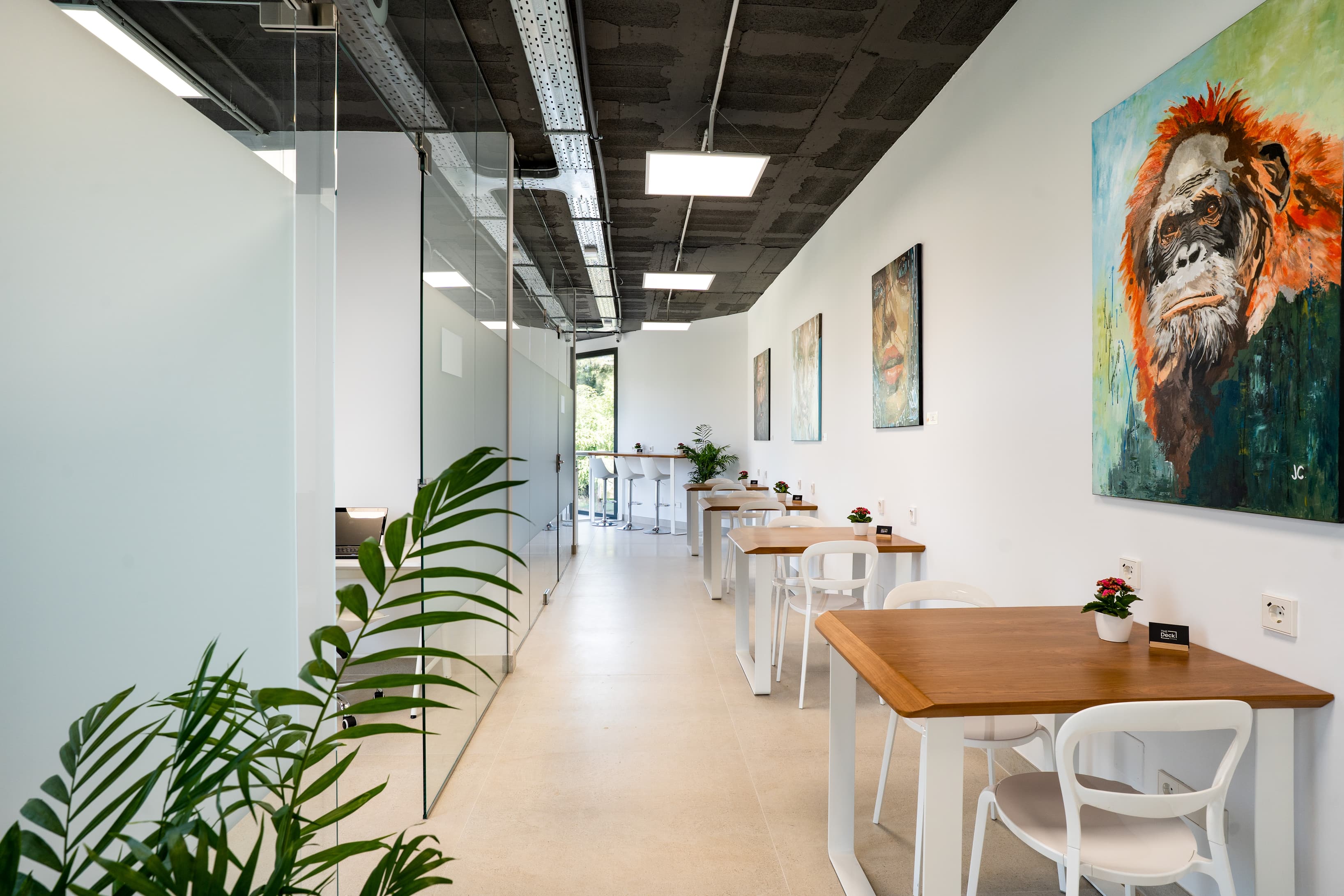 CoWorking space shared desks CoWorking space shared desks