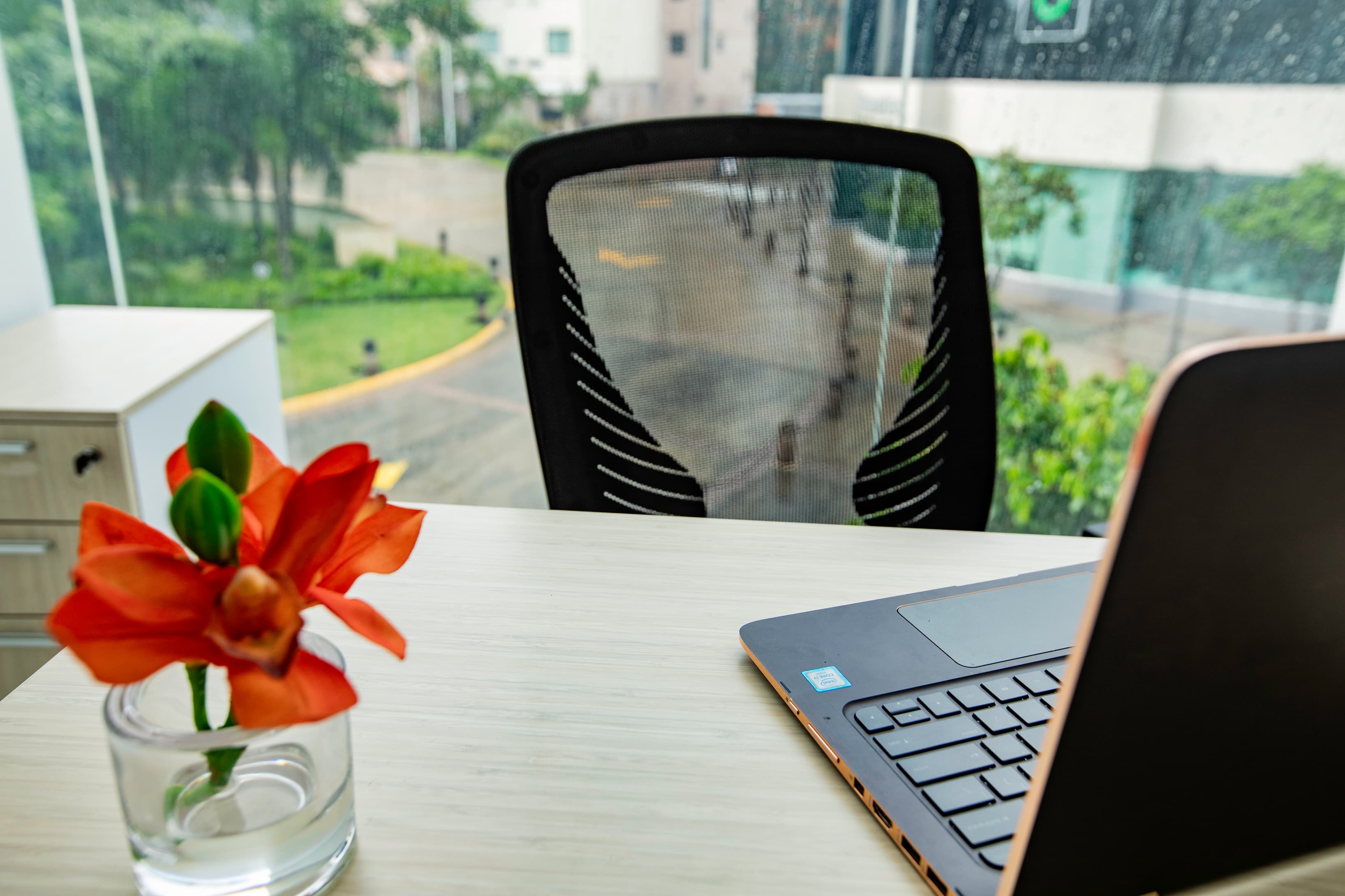 Oficina 216 Oficina 216