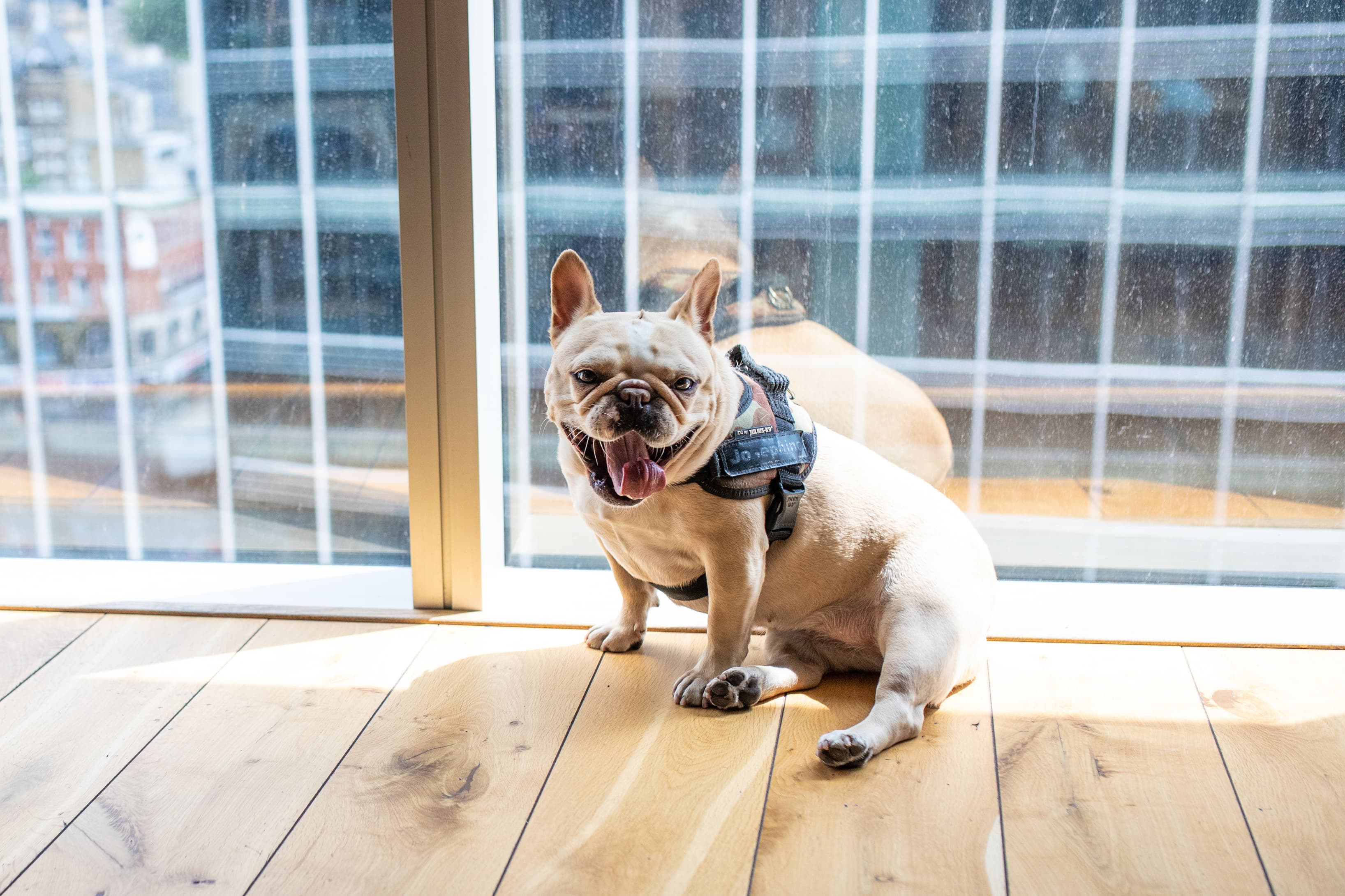 beyond Aldgate Tower beyond Aldgate Tower