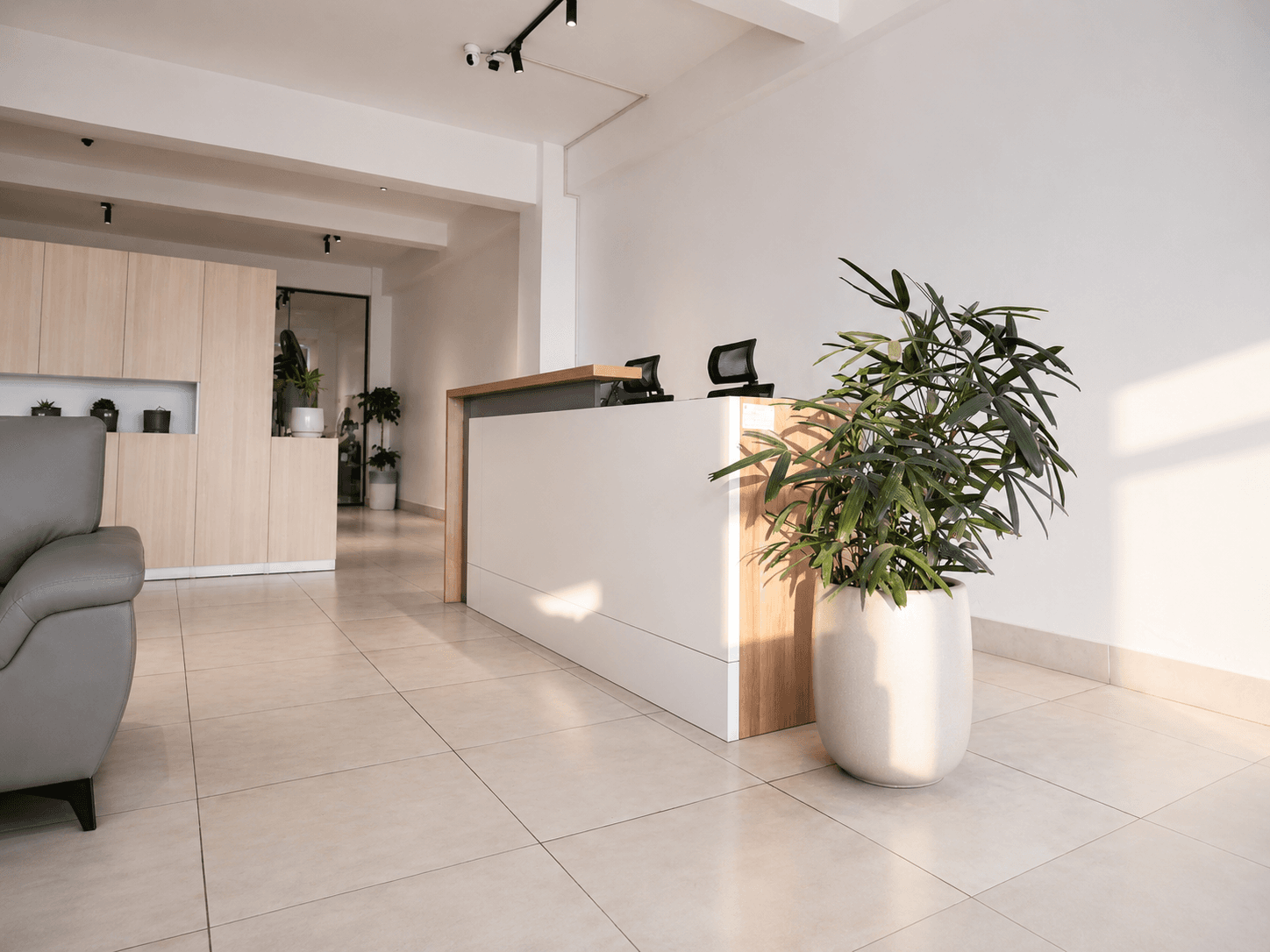 A calm, welcoming reception with warm wood accents and lush greenery. Your first impression of the space sets the tone perfec