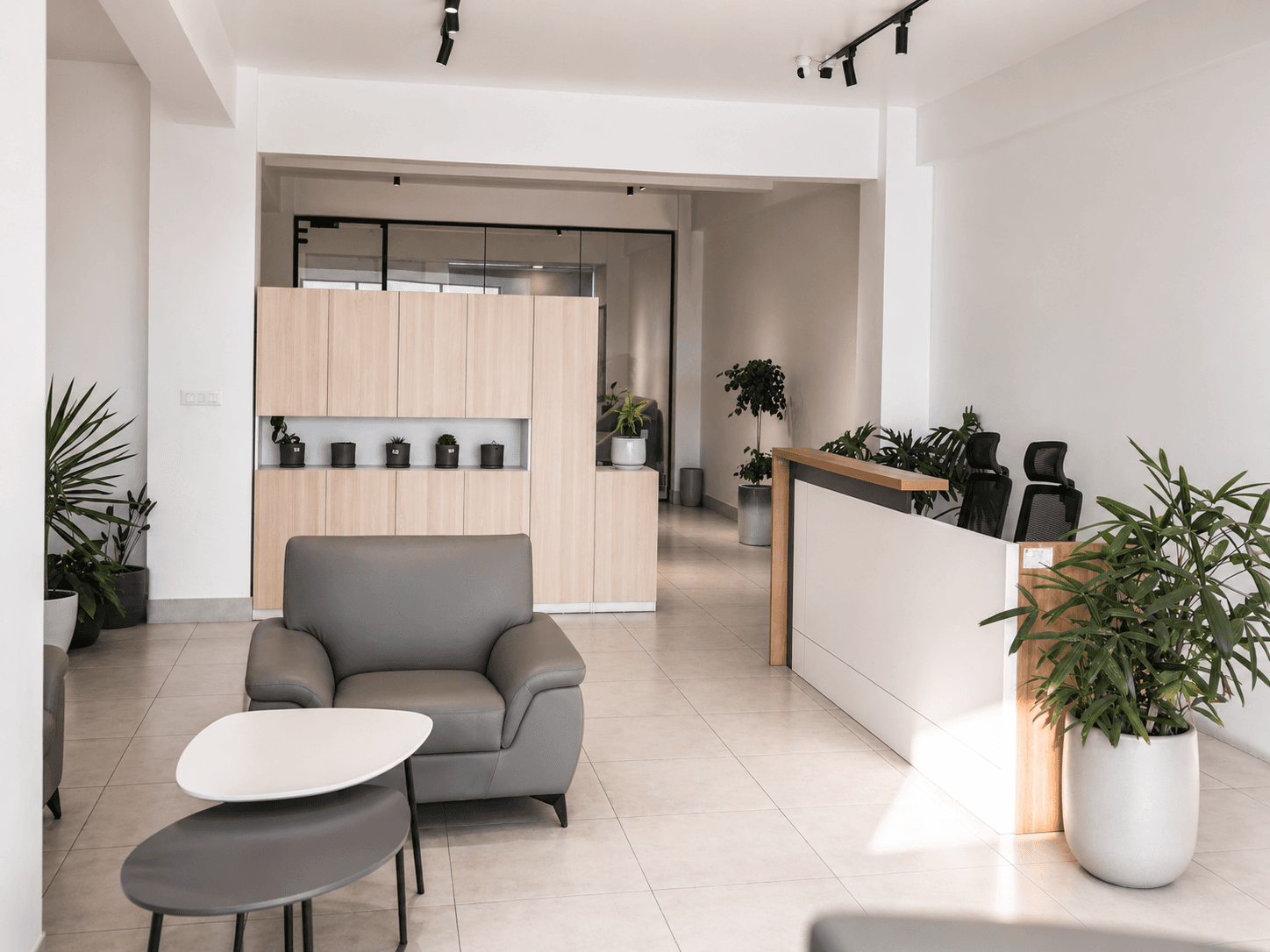 Wood, plants, and plenty of light welcome you in. This is what walking into work should feel like every morning.