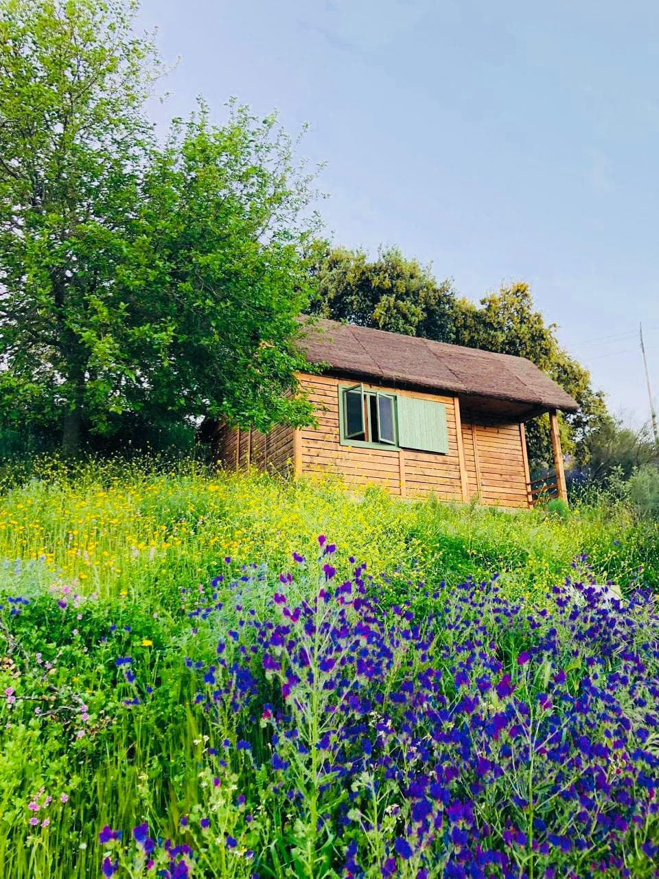 Cozy wooden cabins  fully equipped, including kitchen, wifi, AC, TV