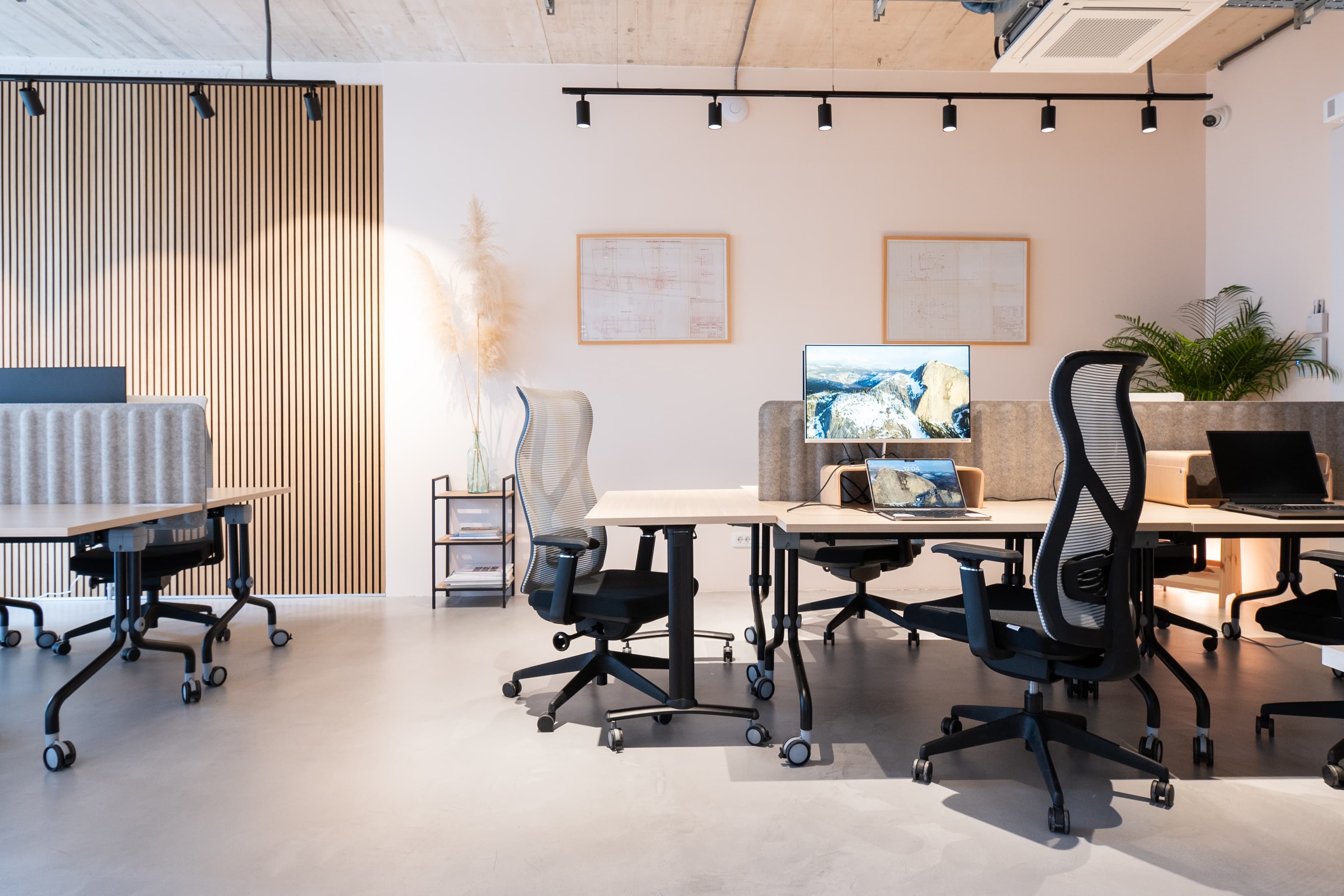 Modern open workspace with ergonomic chairs and natural light — ideal for productive teamwork or individual focus.
