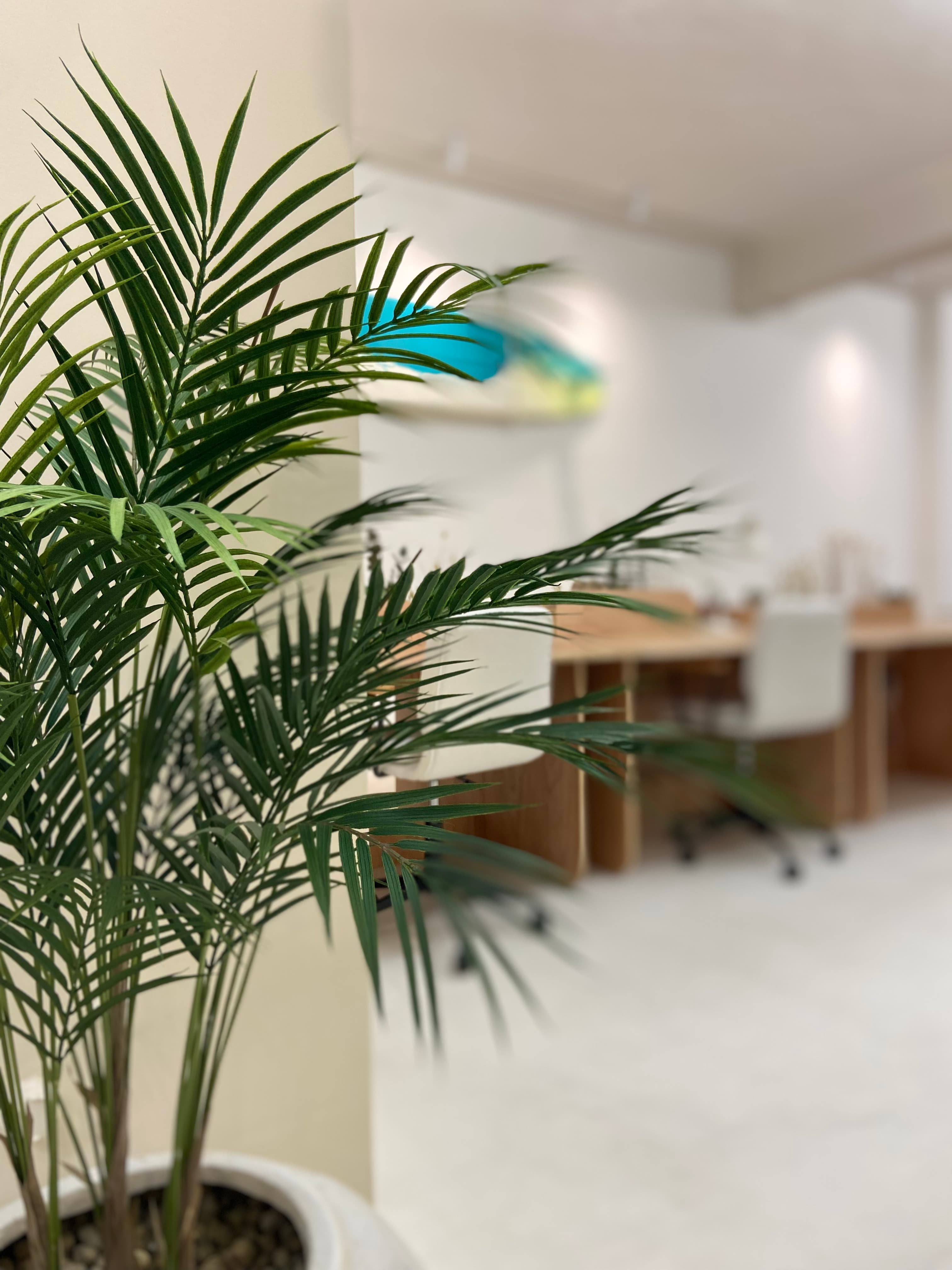 Duna is an open space coworking Duna is an open space coworking