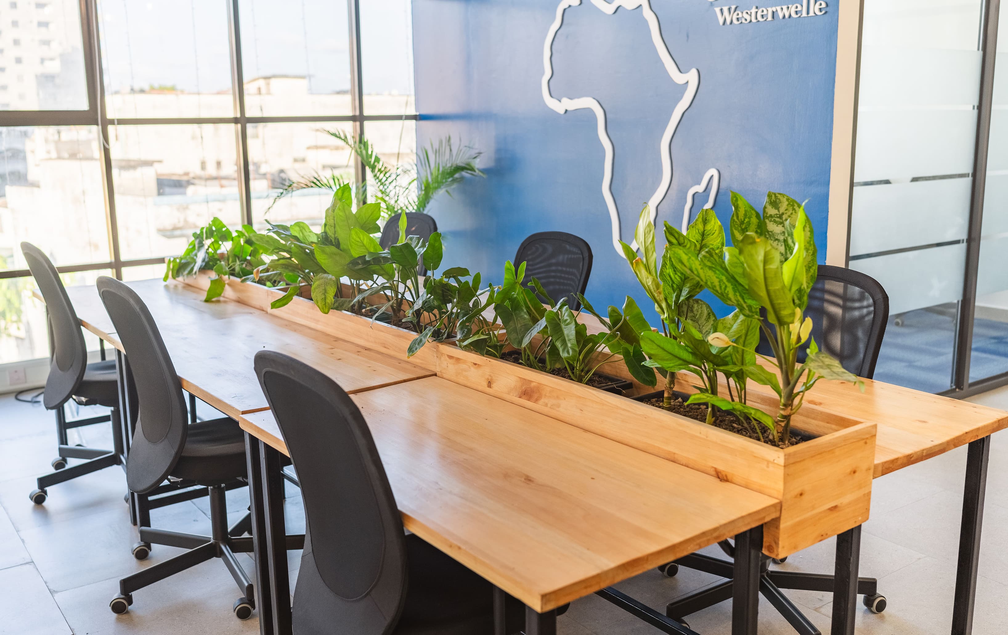 WSHM Coworking Desks