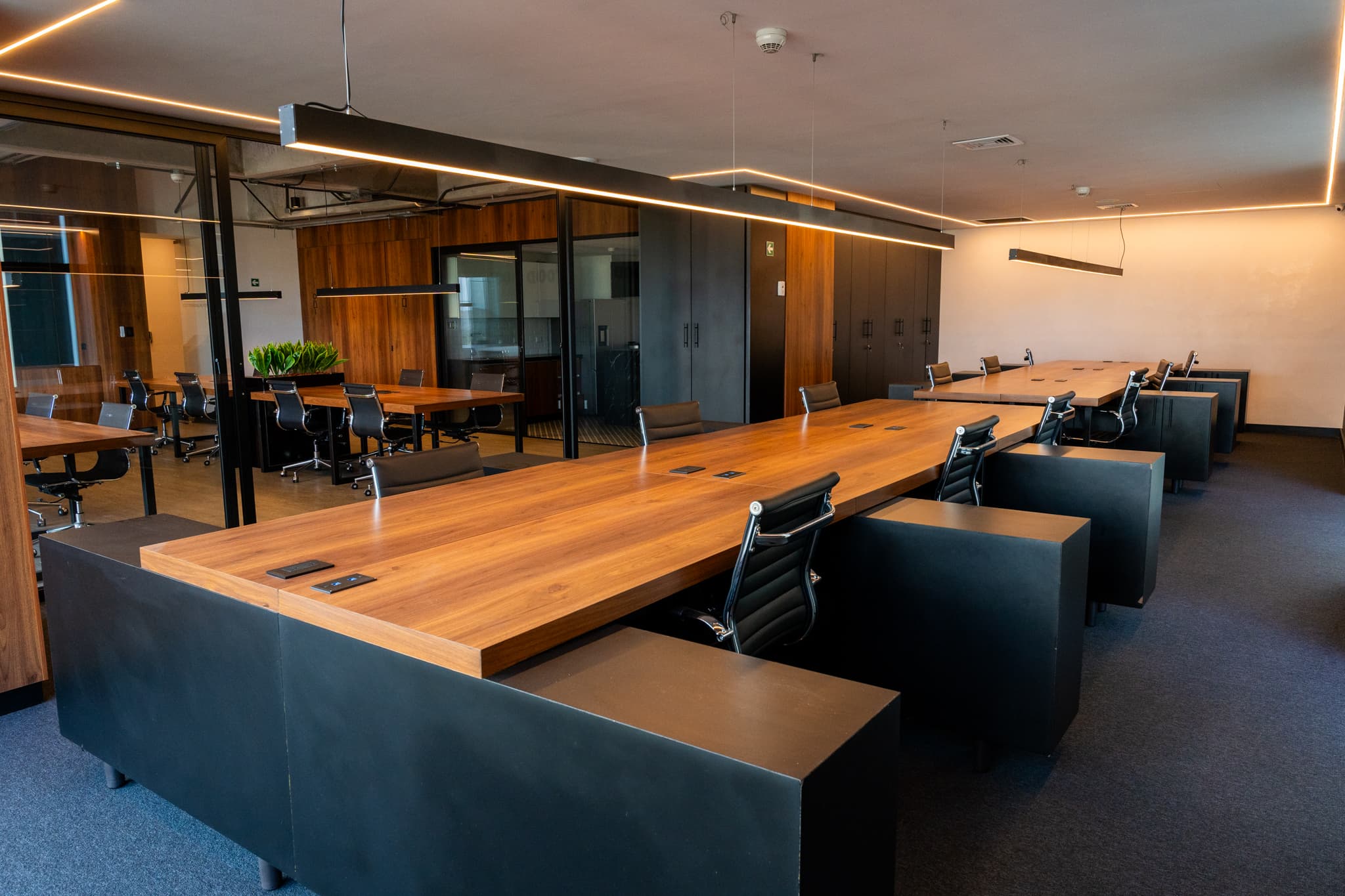 Open Desks/ Private room for 12p