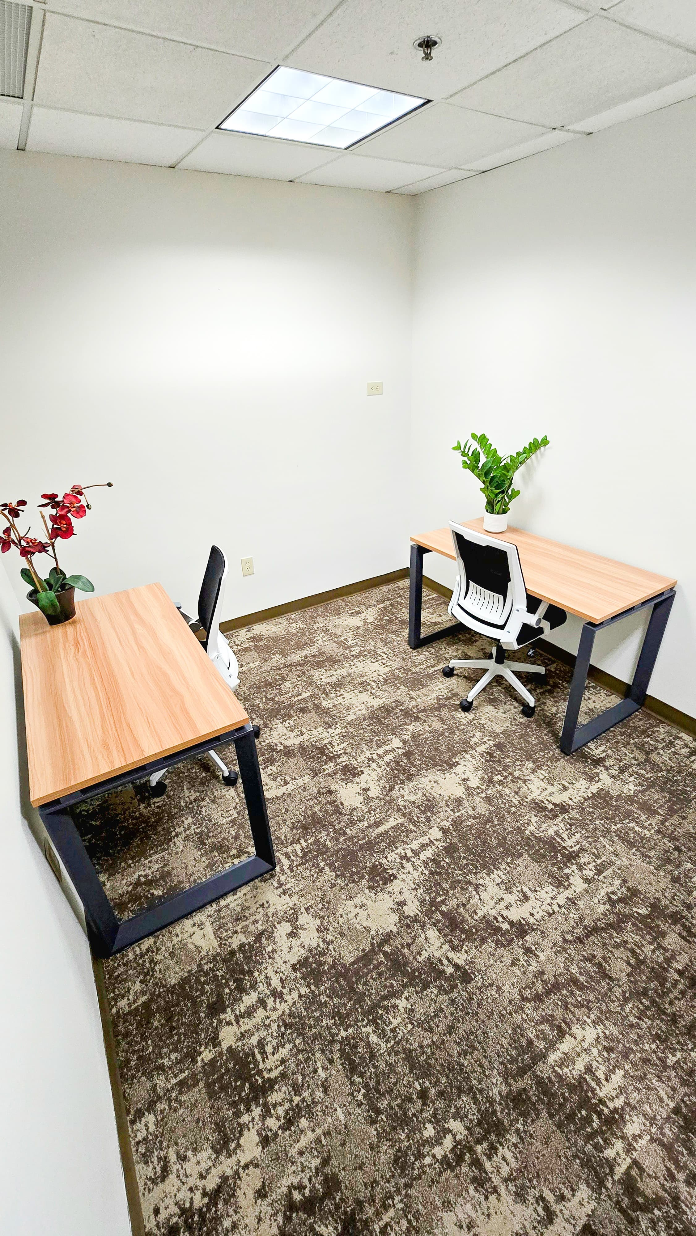 office with dual workstations, ergonomic seating, and ample desk space for small teams. office with dual workstations, ergonomic seating, and ample desk space for small teams.