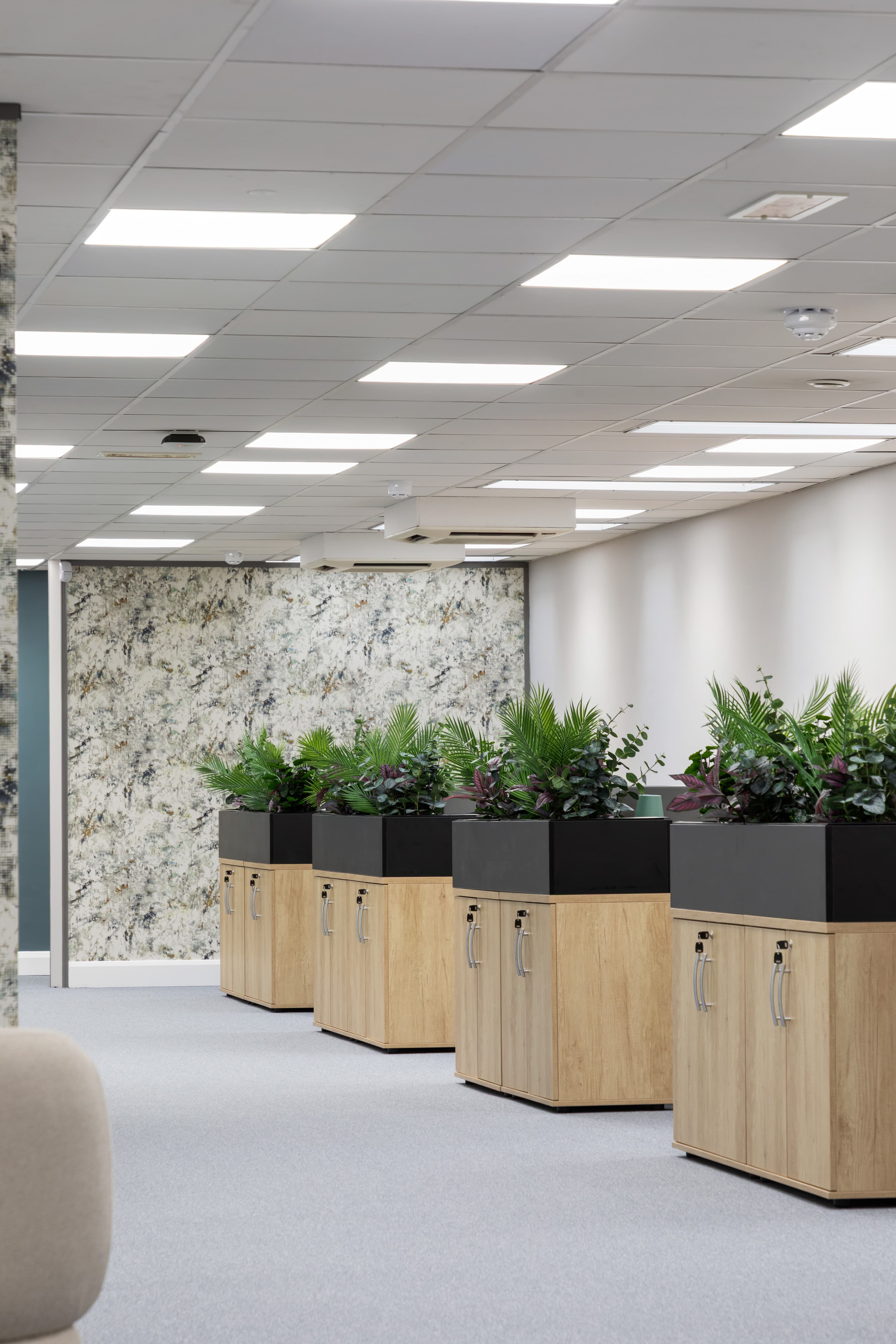 Open Plan Space Open Plan Space