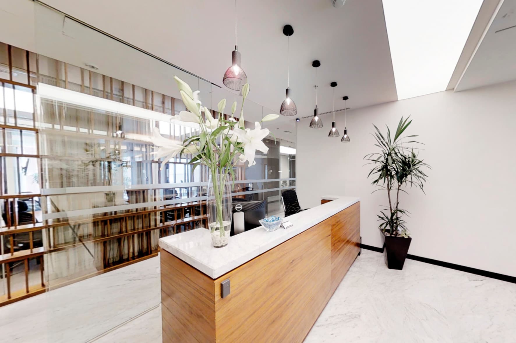 Learn about memberships designed for professionals who need access to IZA locations in Mexico.