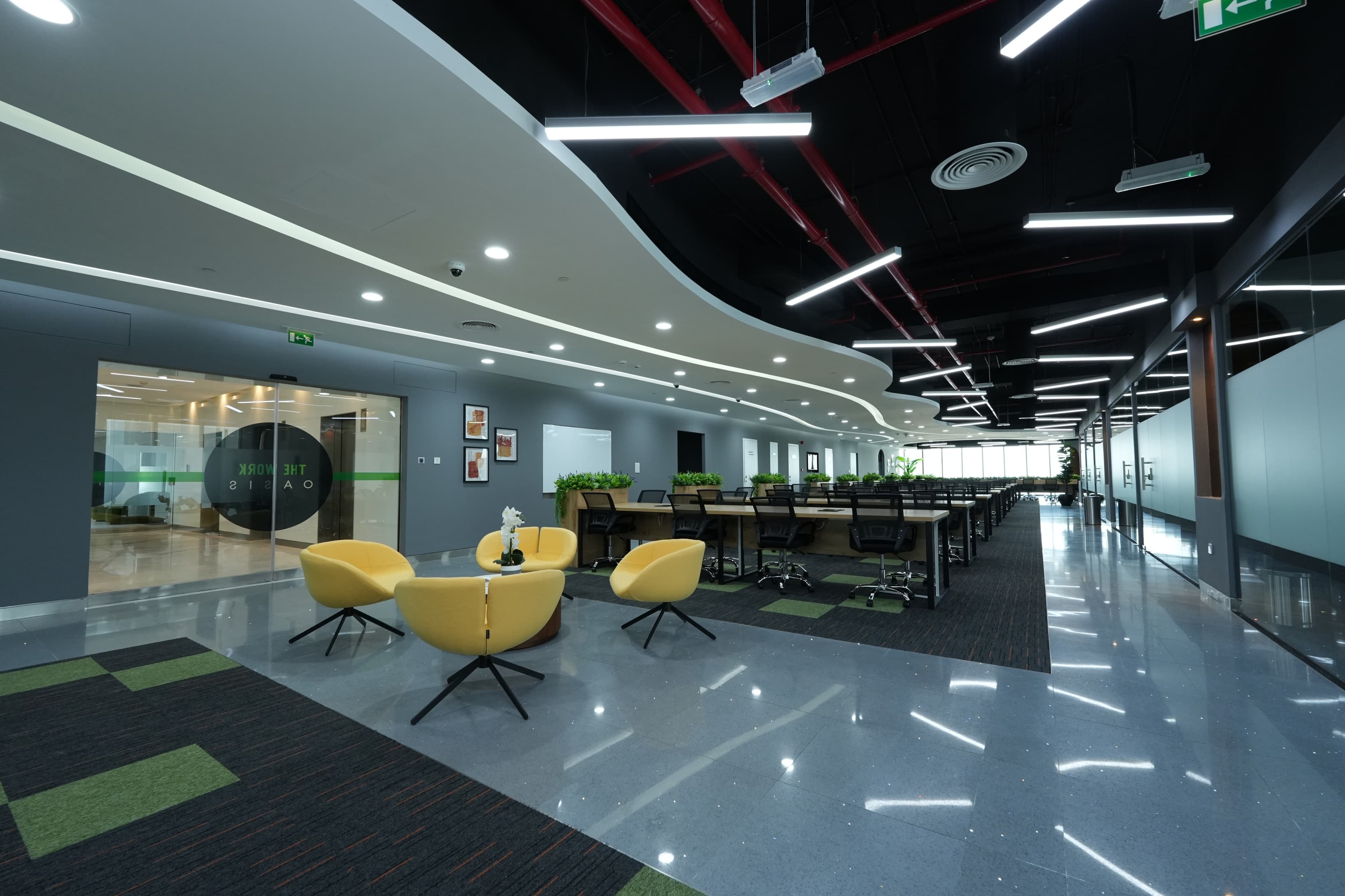 Co-Working Area