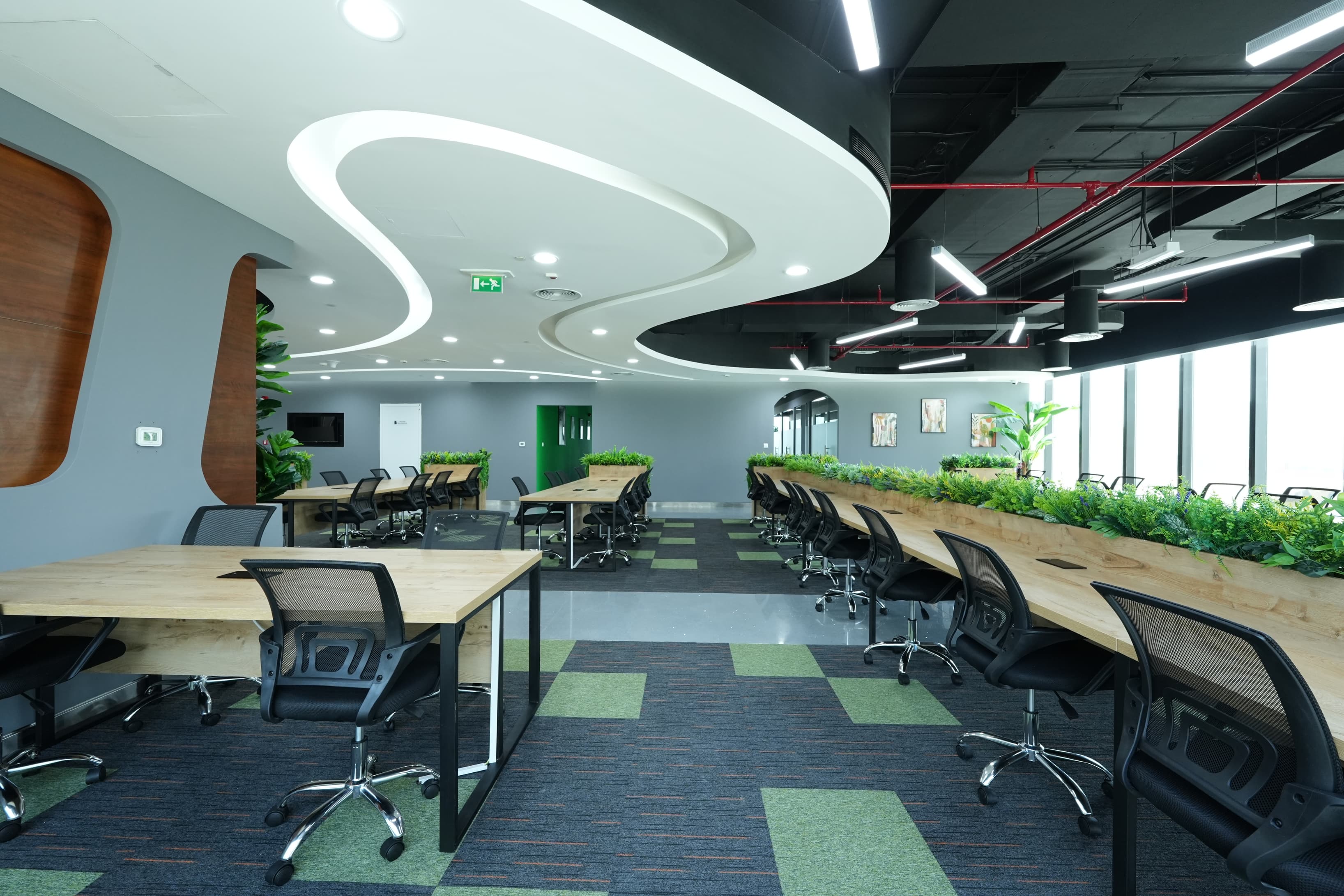 Co-Working Area