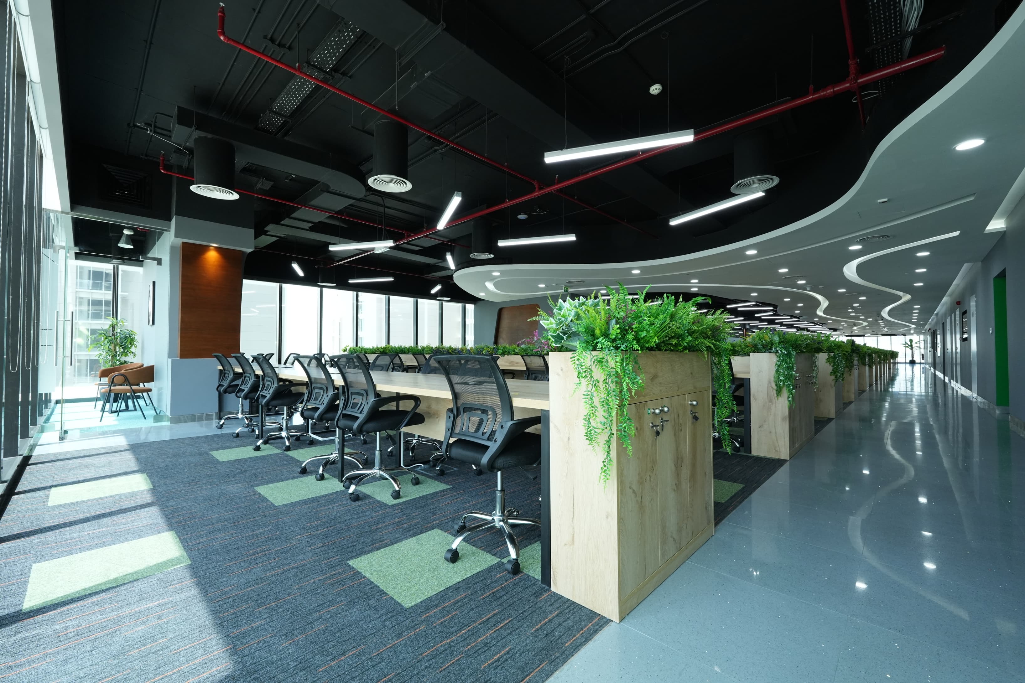 Co-Working Area