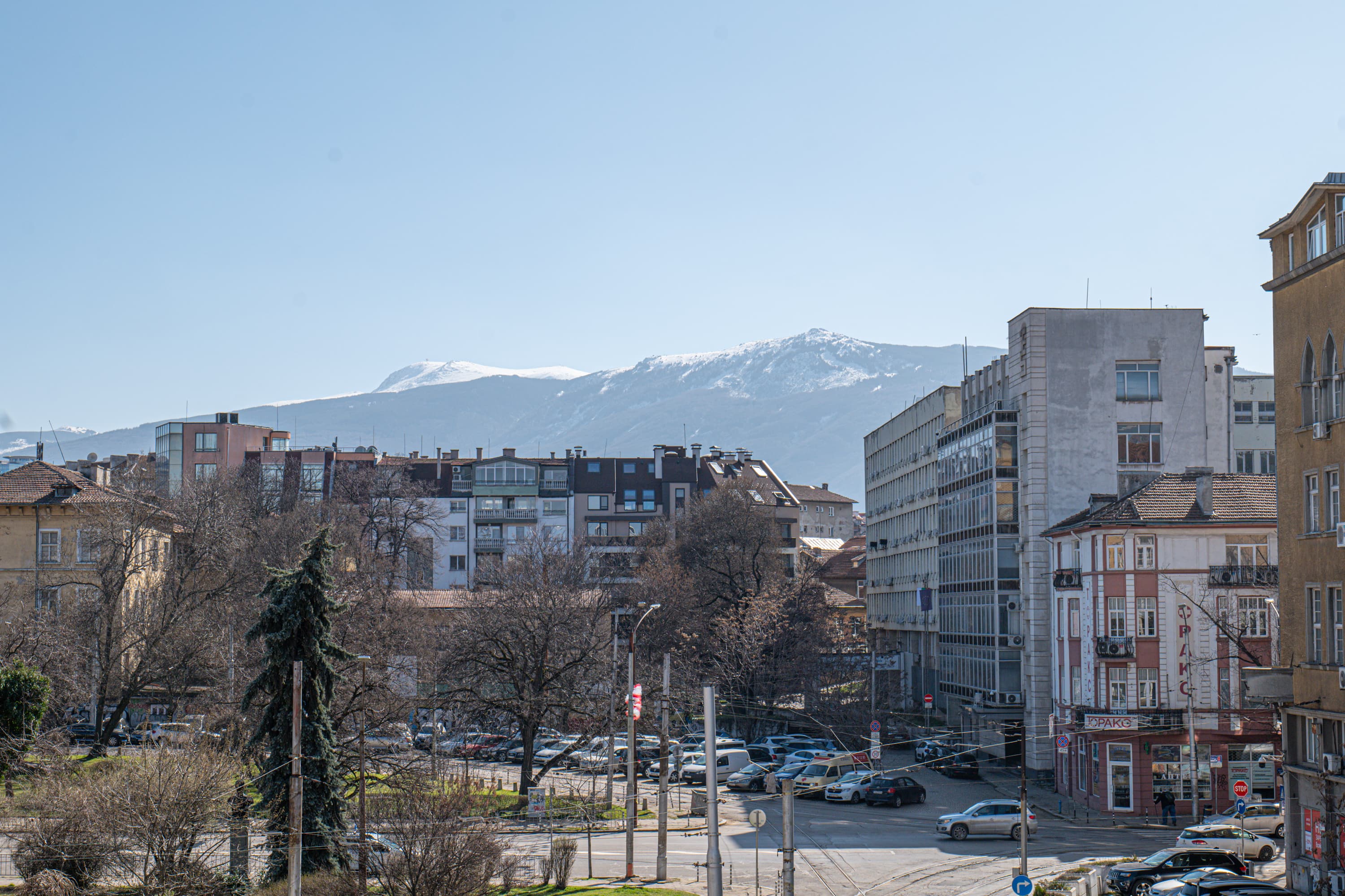 View