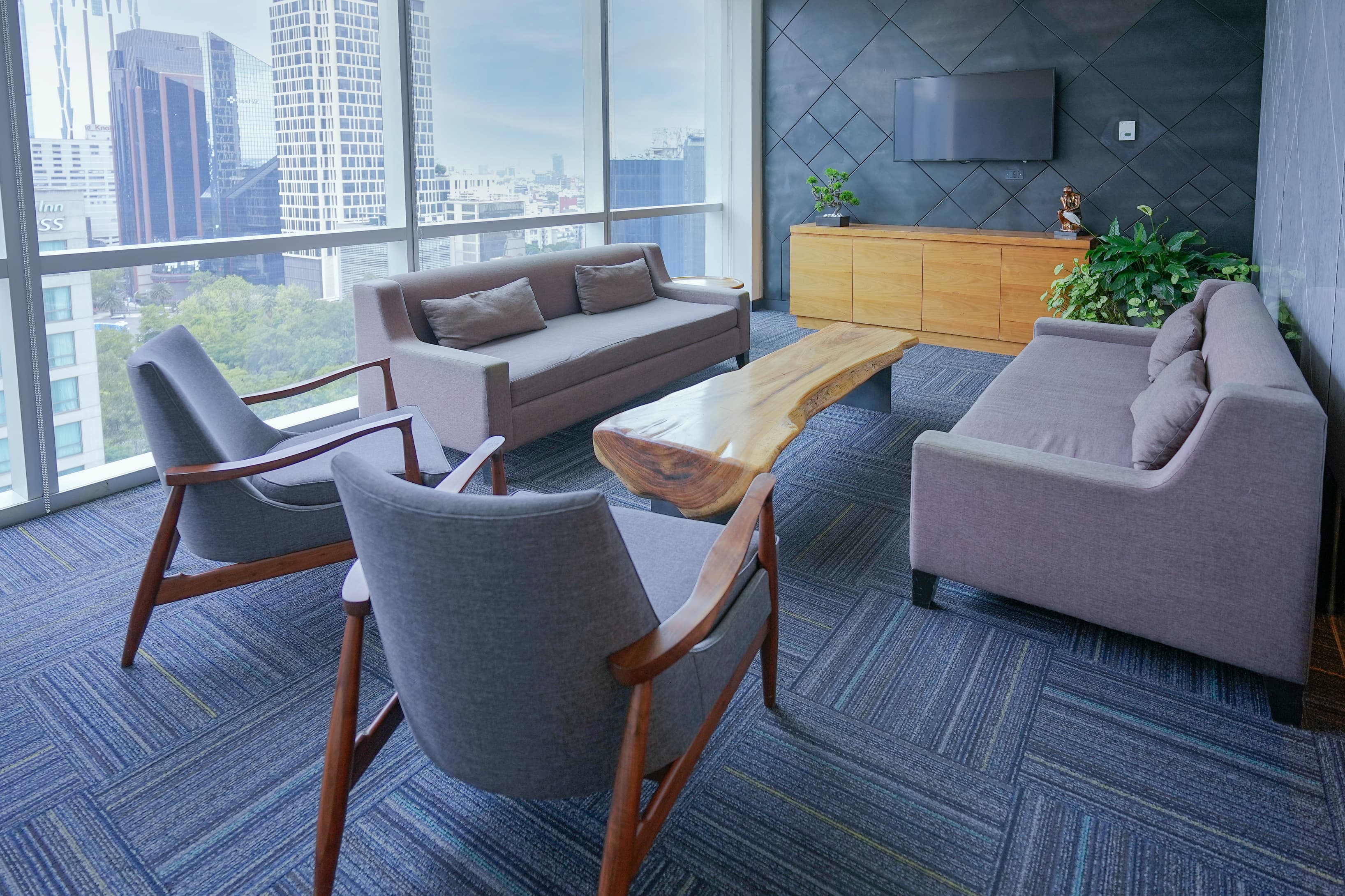 Learn about memberships designed for professionals who need access to IZA locations in Mexico.