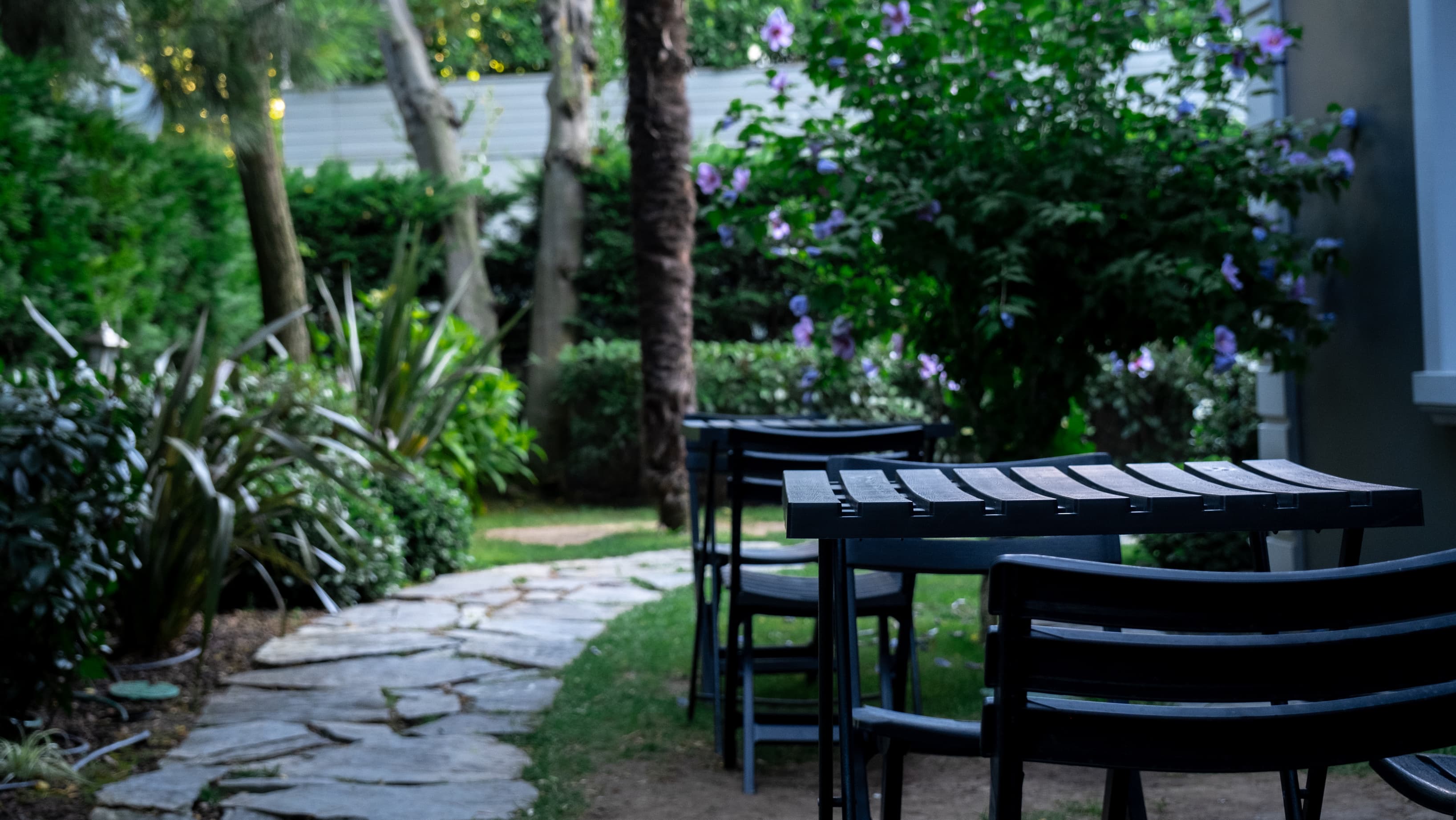 Beautiful garden of the villa Beautiful garden of the villa