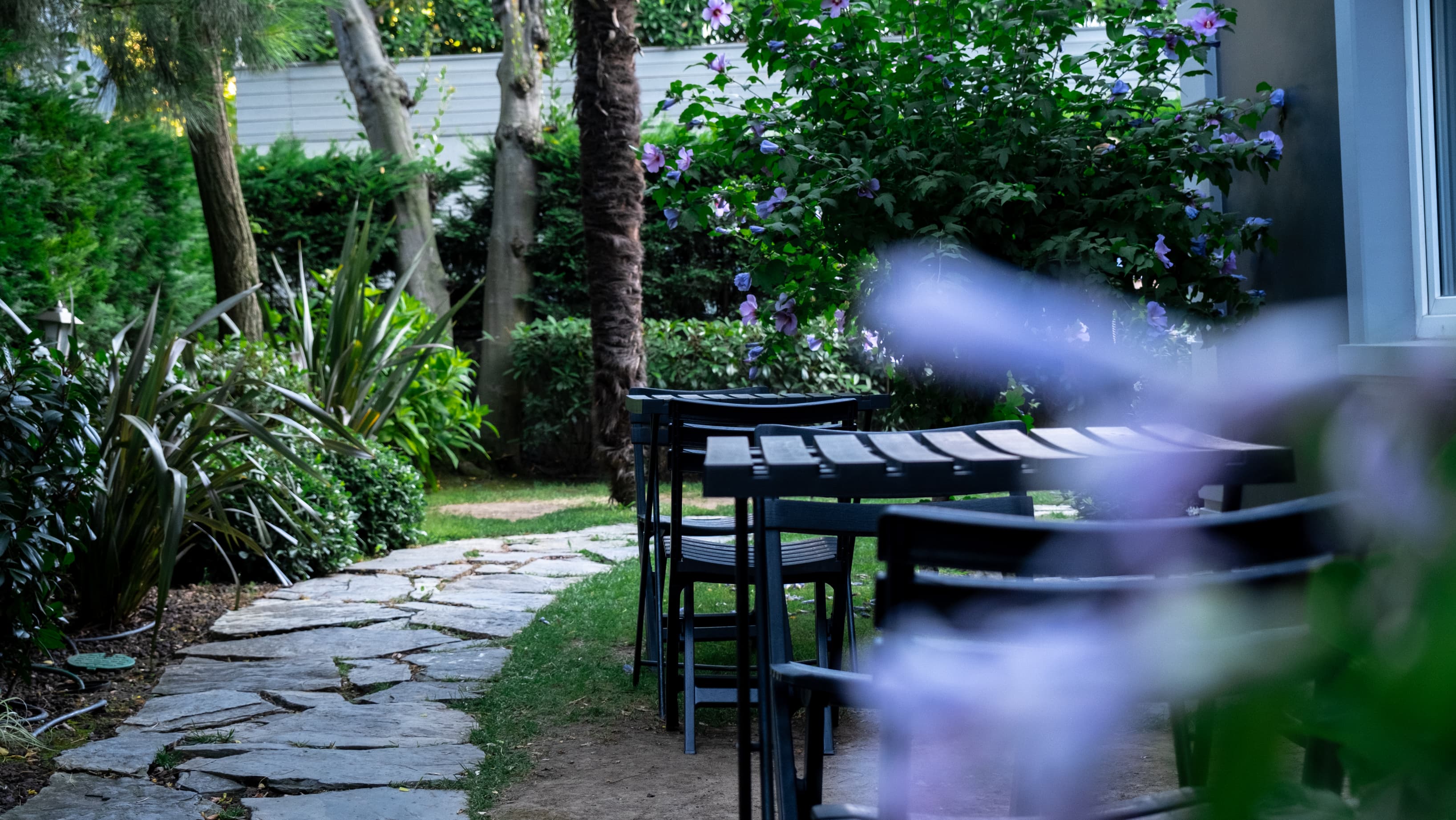 Beautiful garden of the villa Beautiful garden of the villa