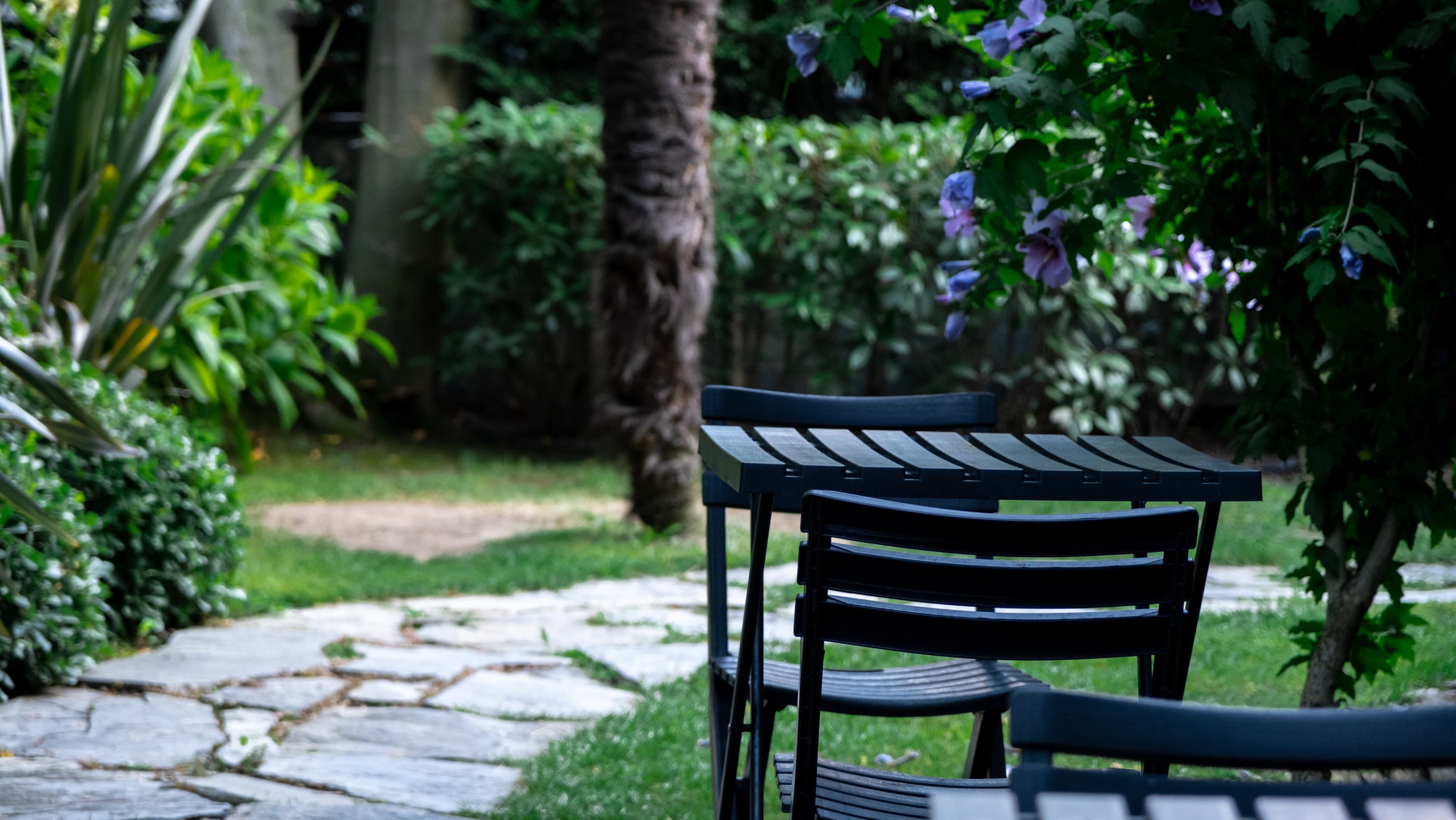 Beautiful garden of the villa Beautiful garden of the villa