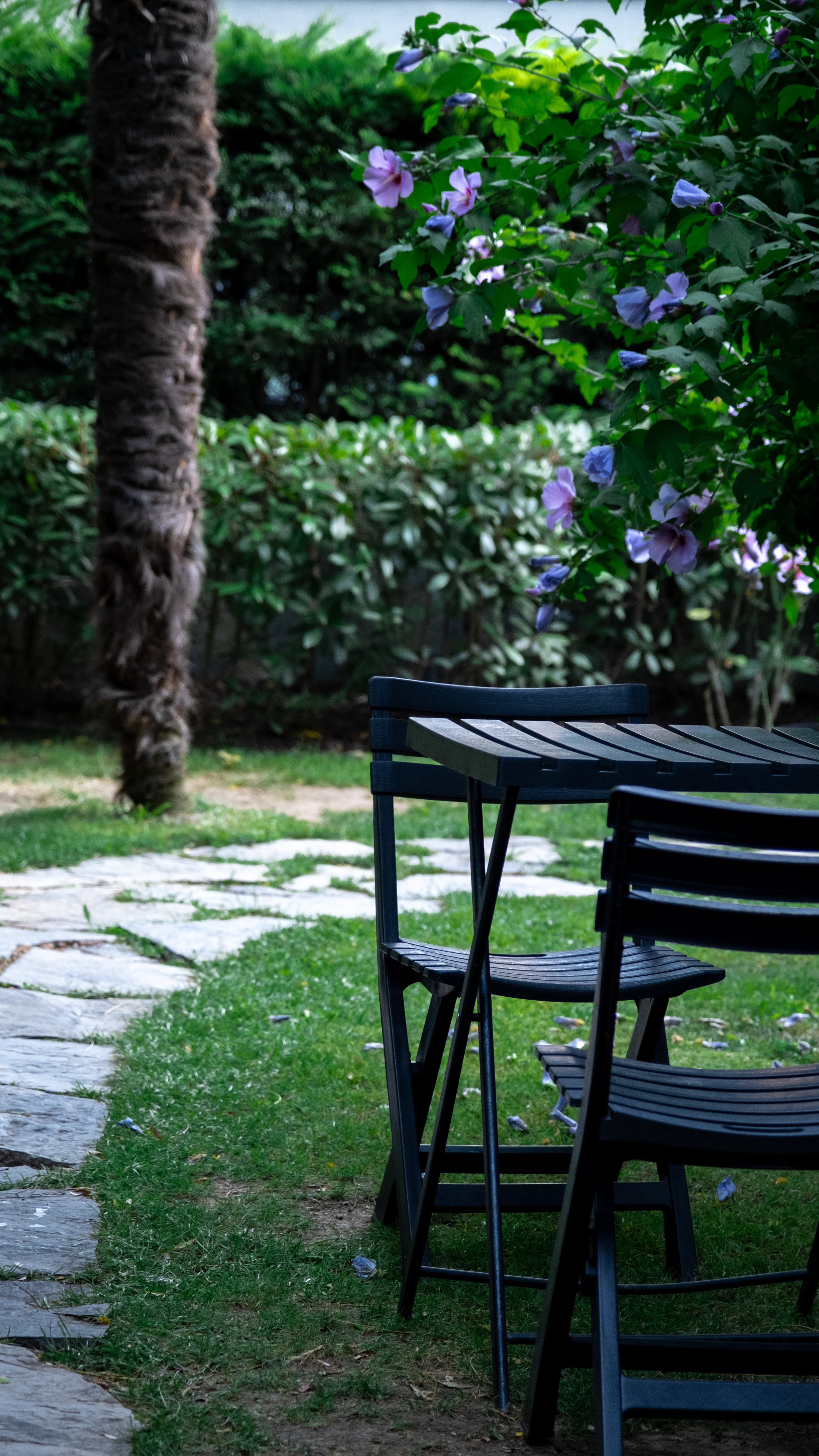 Beautiful garden of the villa Beautiful garden of the villa