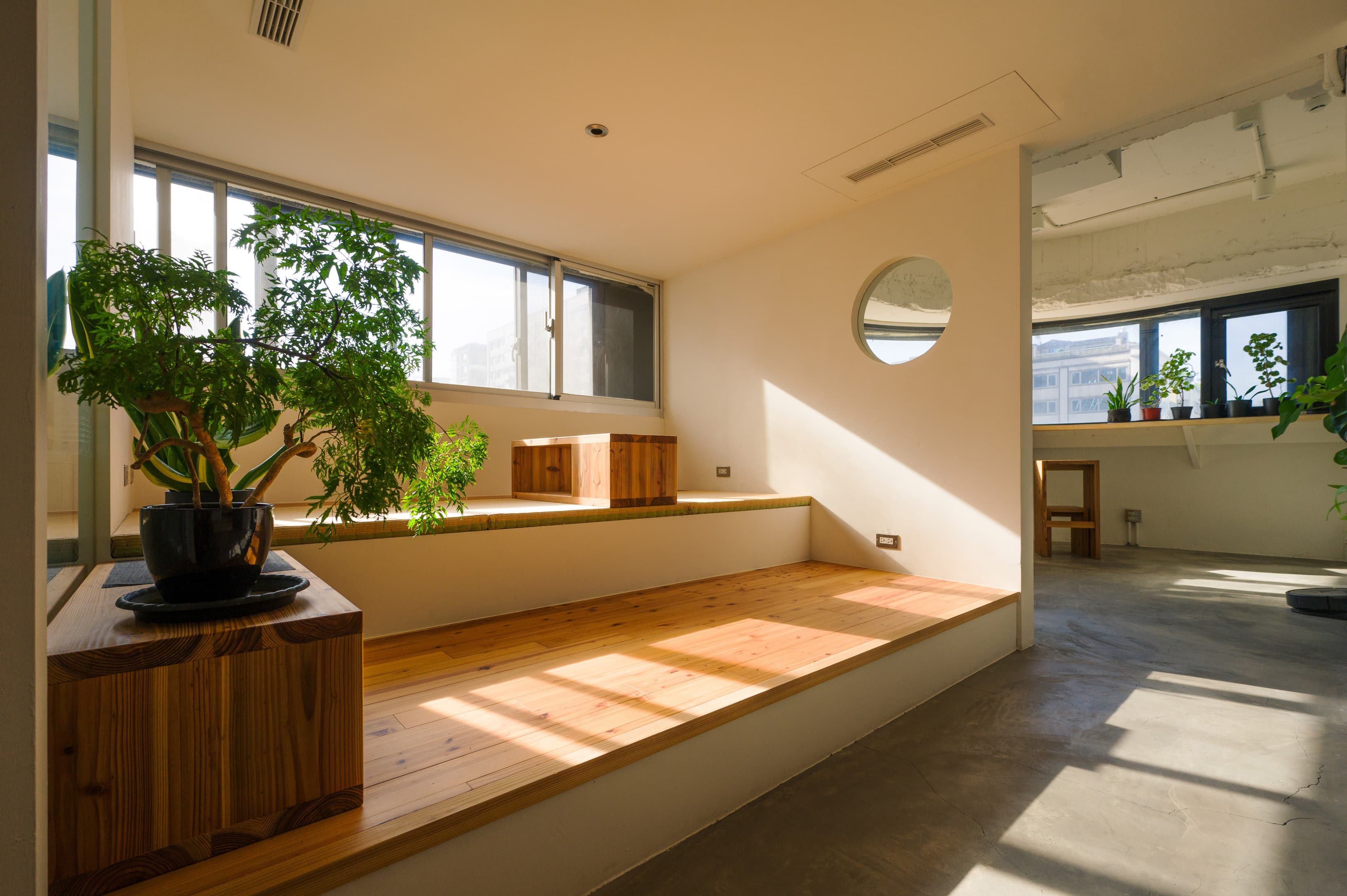 The morning sunshine