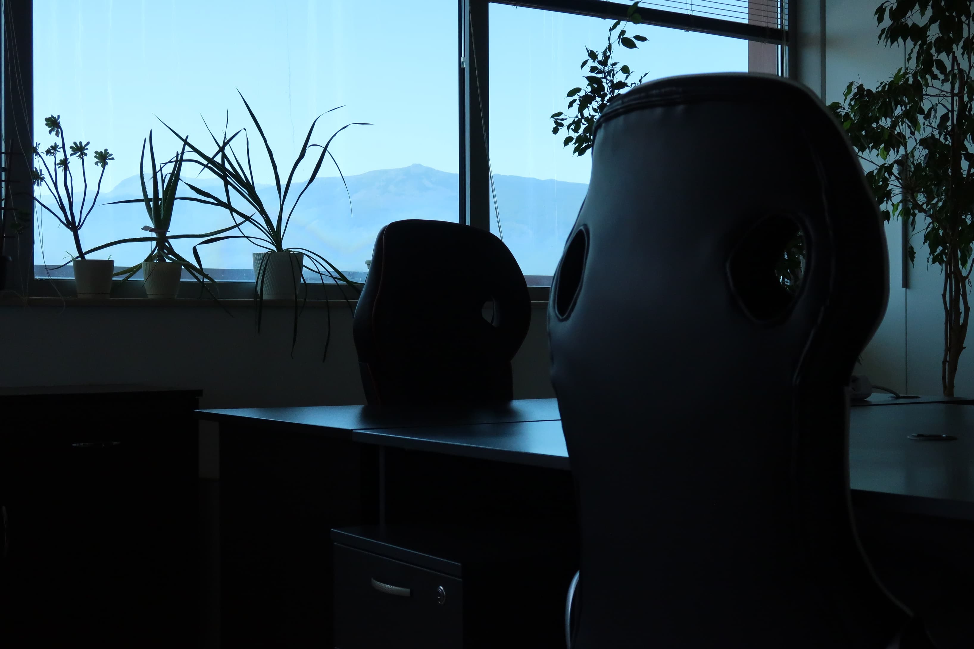 view from the desk
