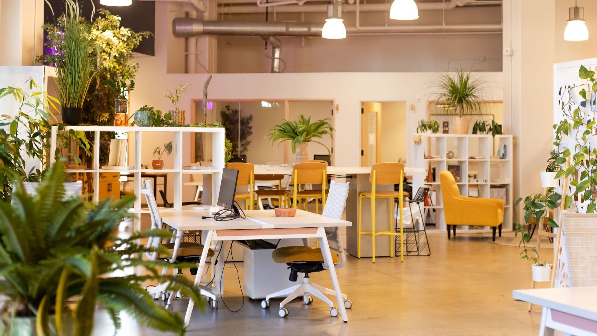 Coworking