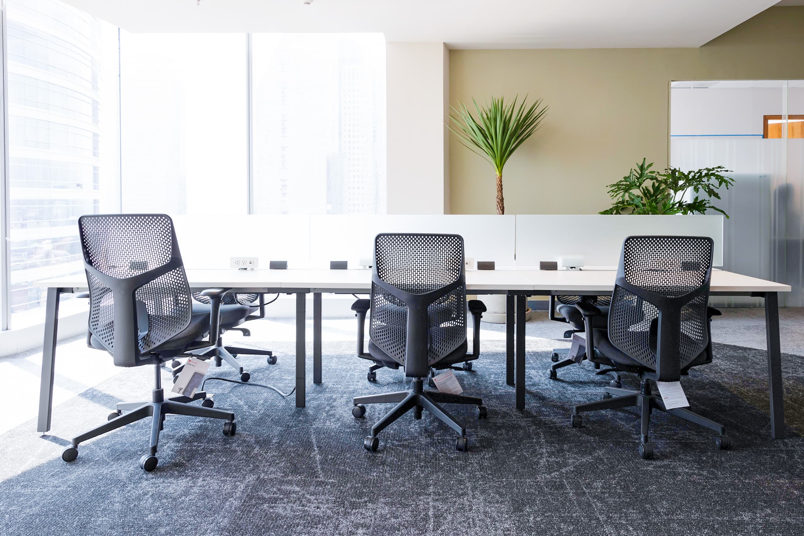 It offers spectacular views of two of the city's most iconic monuments: Diana the Huntress and the Angel of Independence.