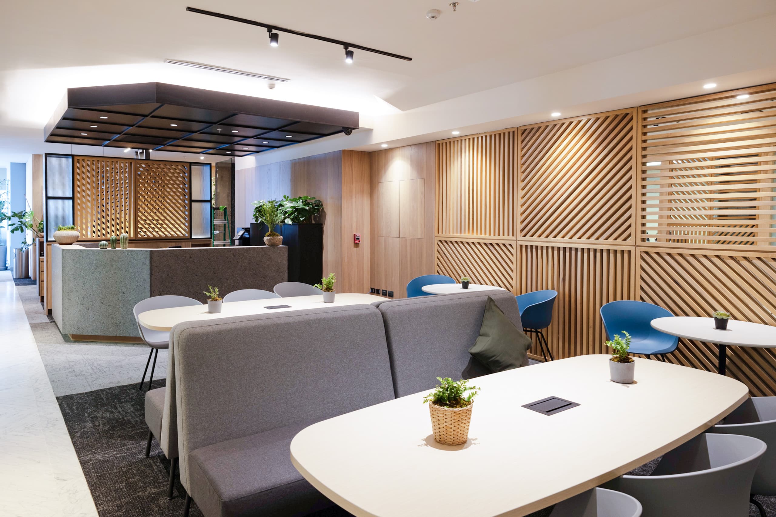 It offers spectacular views of two of the city's most iconic monuments: Diana the Huntress and the Angel of Independence.