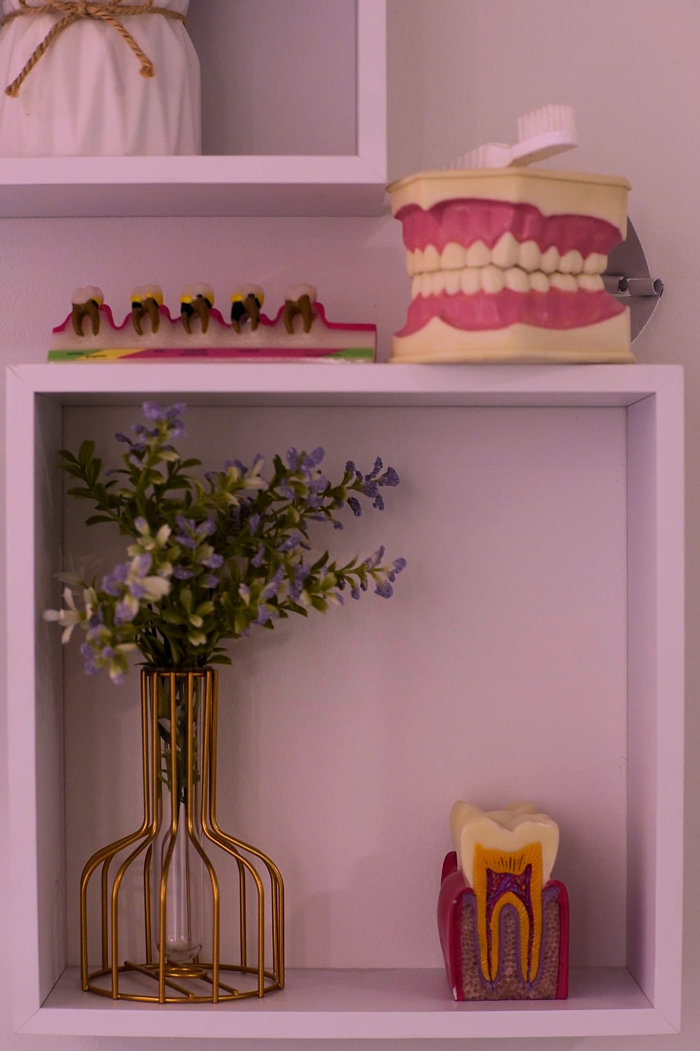 Dental Cowork.