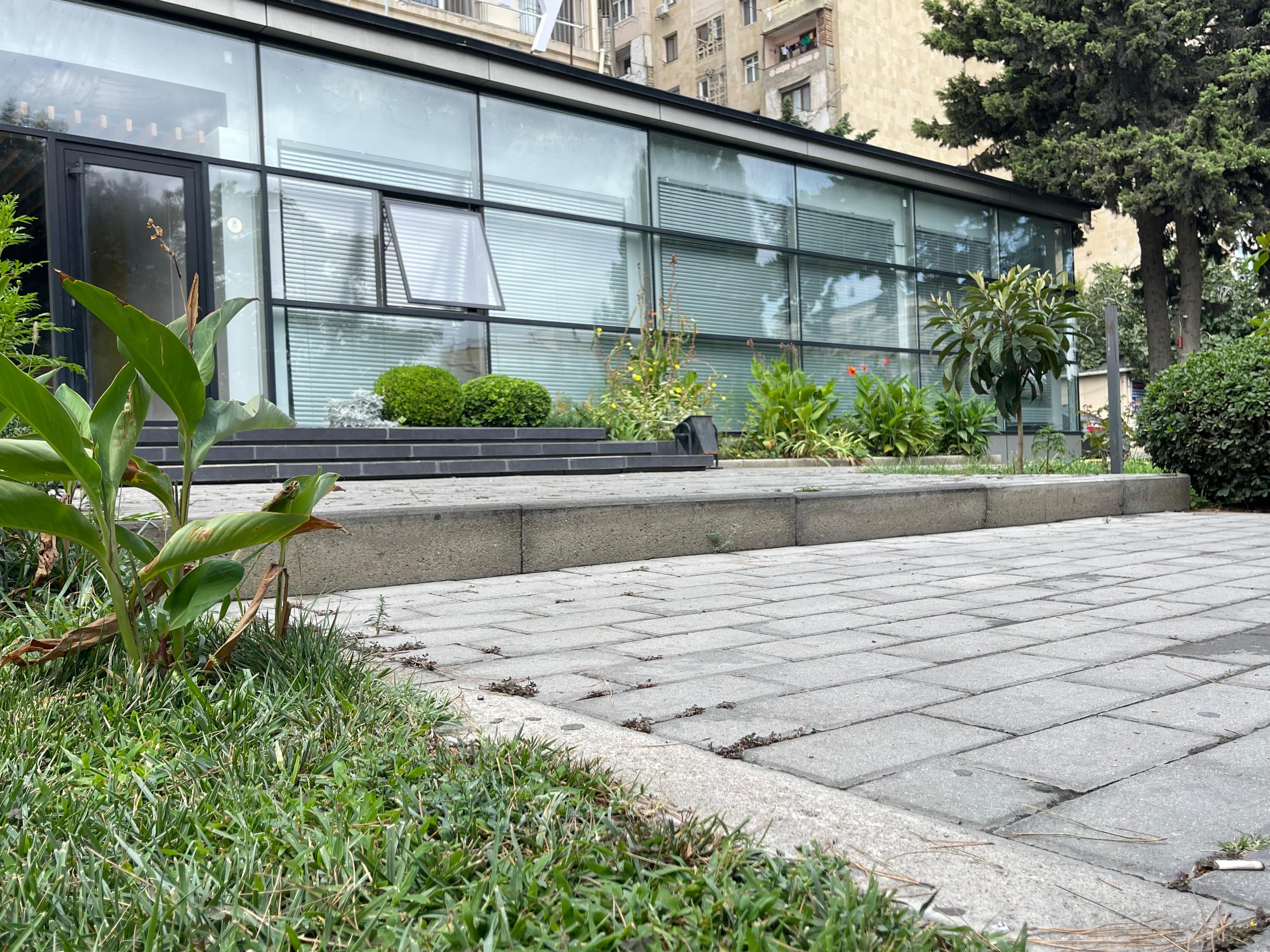 Fikir Coworking - Elmler branch