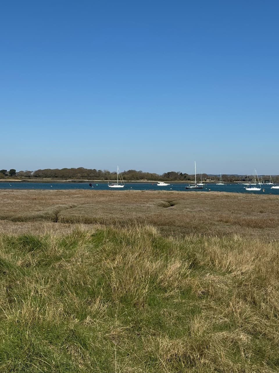 Northshore Workspace view Northshore Workspace view