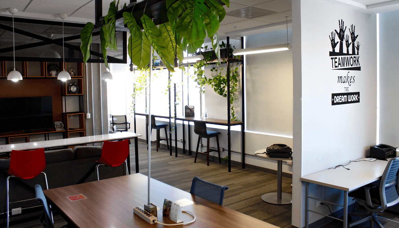 Coworking Spaces diseñados para elevar tu productividad mientras generas conexiones de Networking