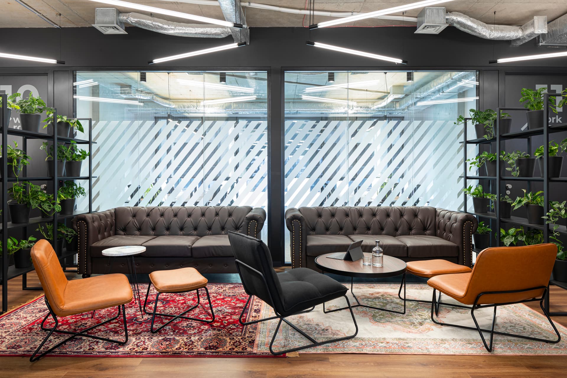 Lounge Area