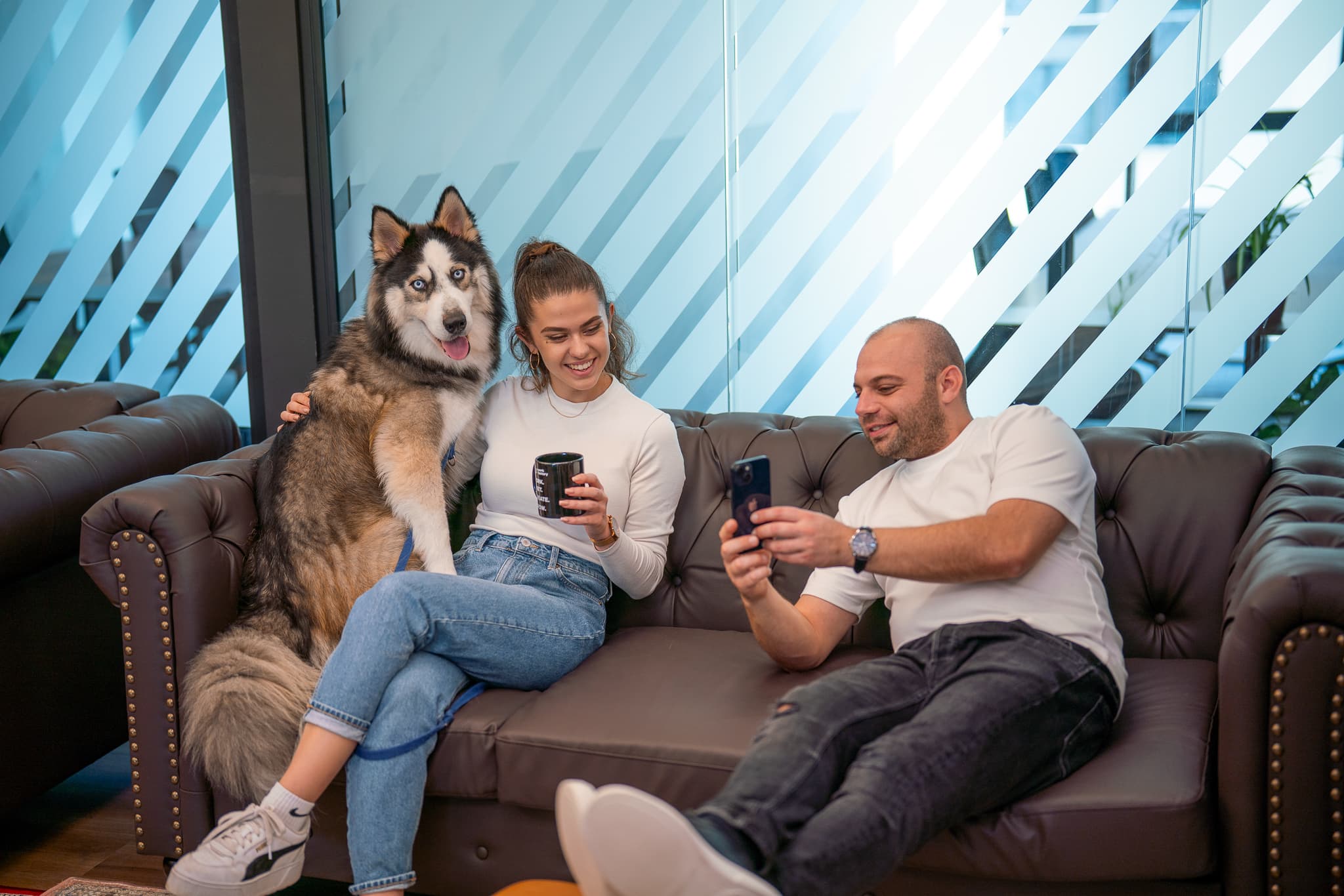 Pet Friendly Coworking