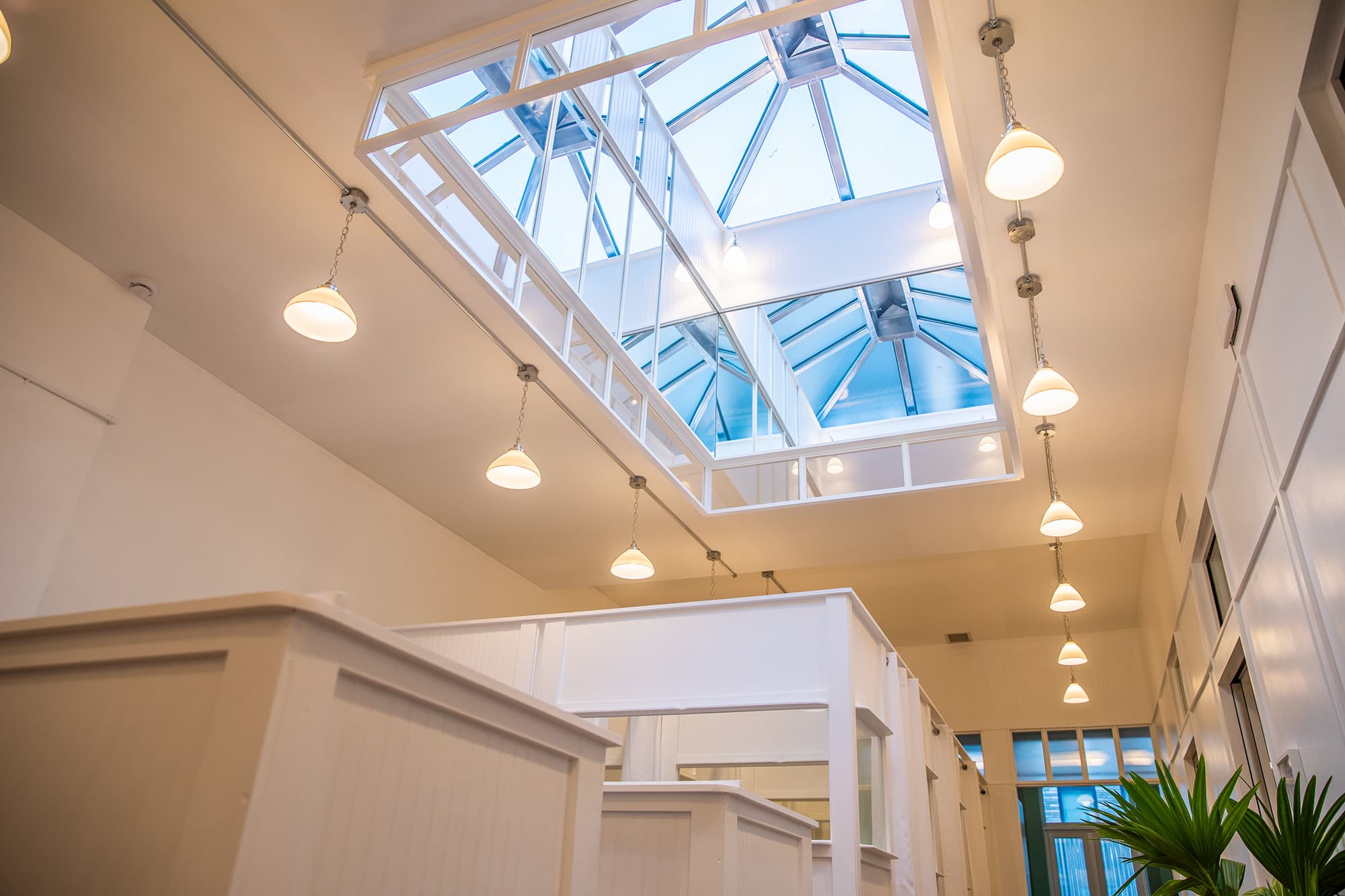 Massive skylight floods the open work area with light