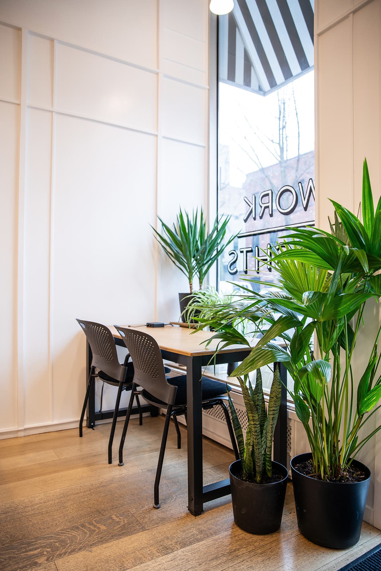 Flex seats at the front of the space in our focused work areas
