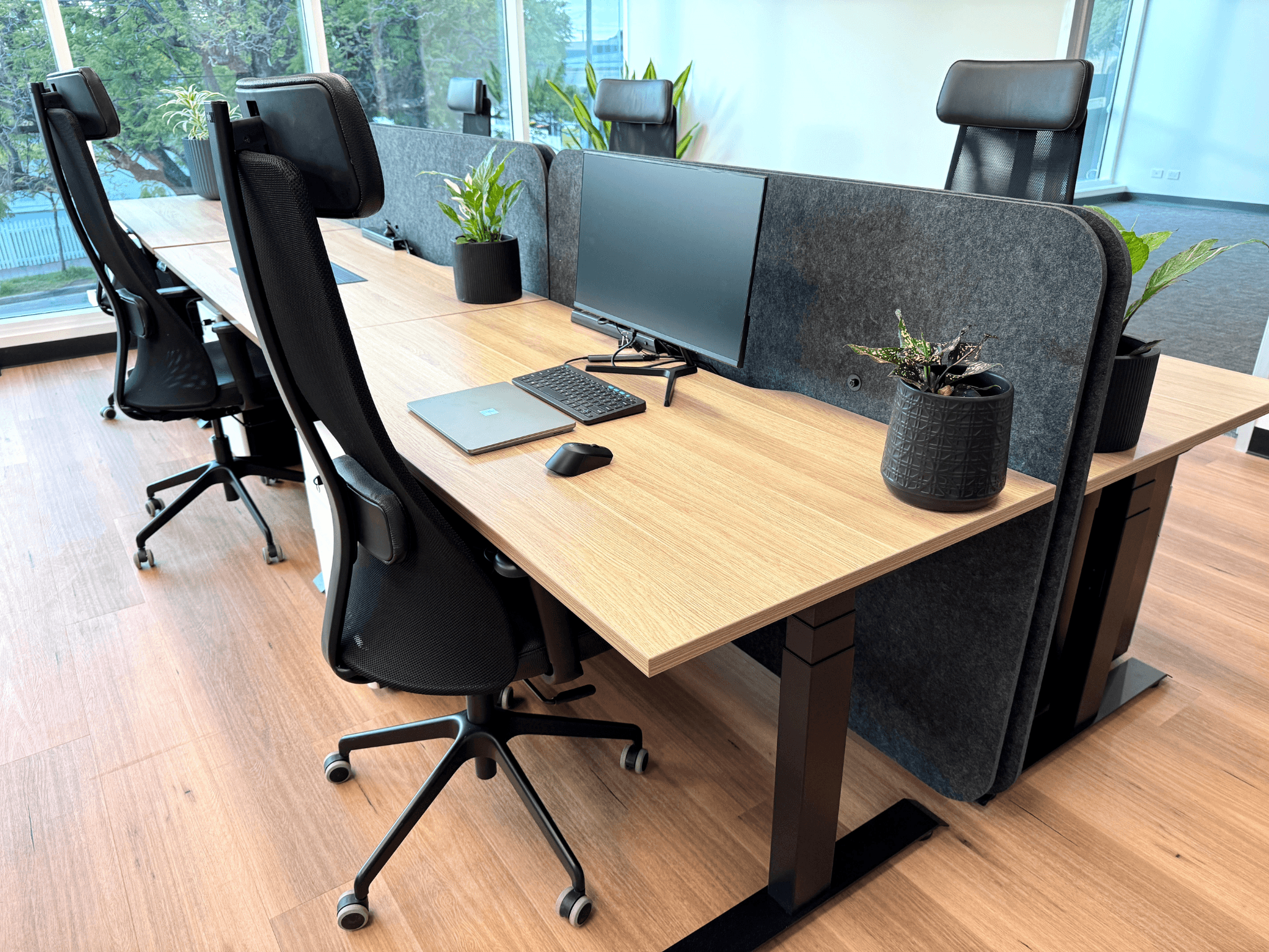 Dedicated Desks - Coworking Area Dedicated Desks - Coworking Area