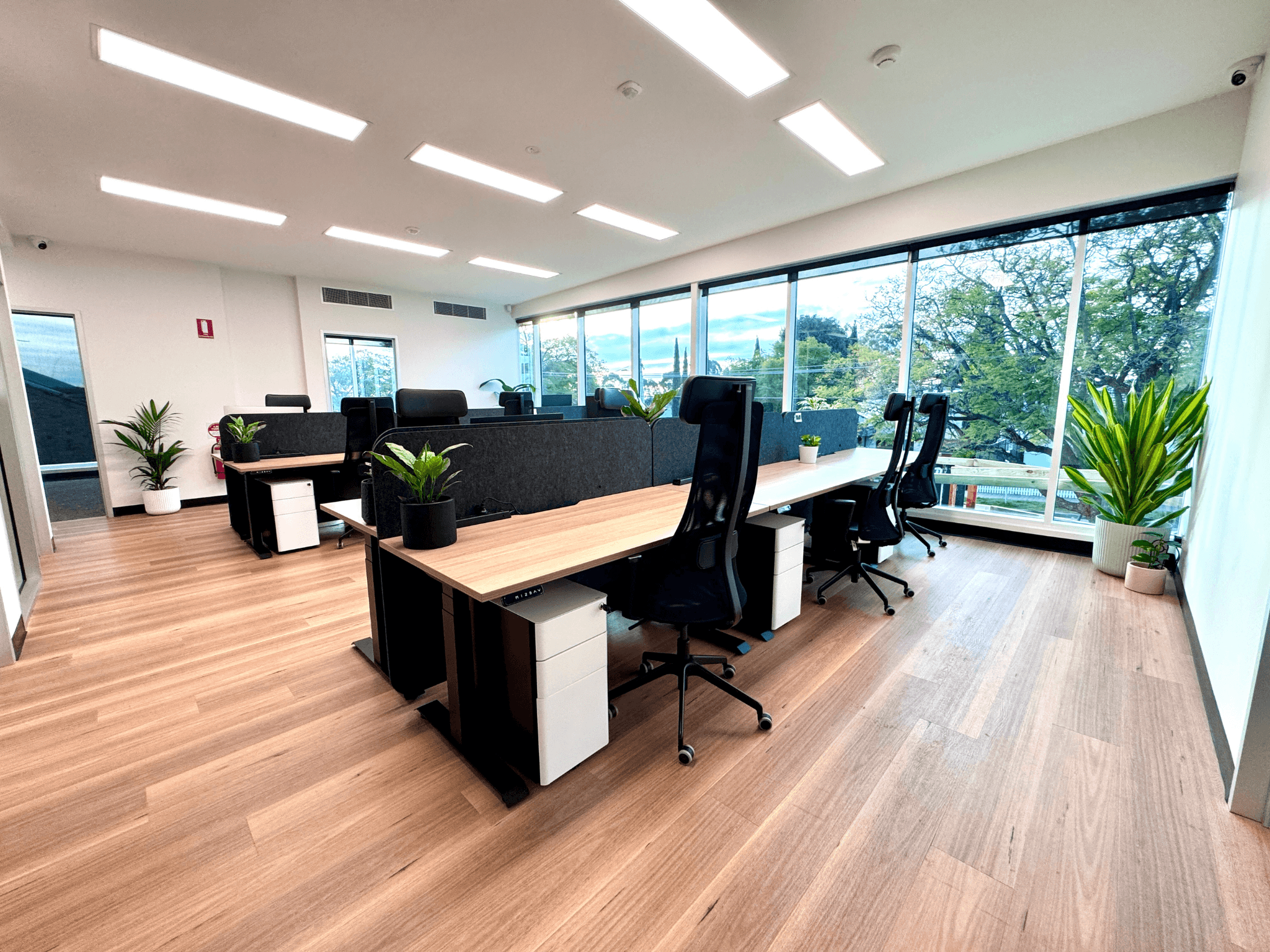 Dedicated Desks - Coworking Area Dedicated Desks - Coworking Area