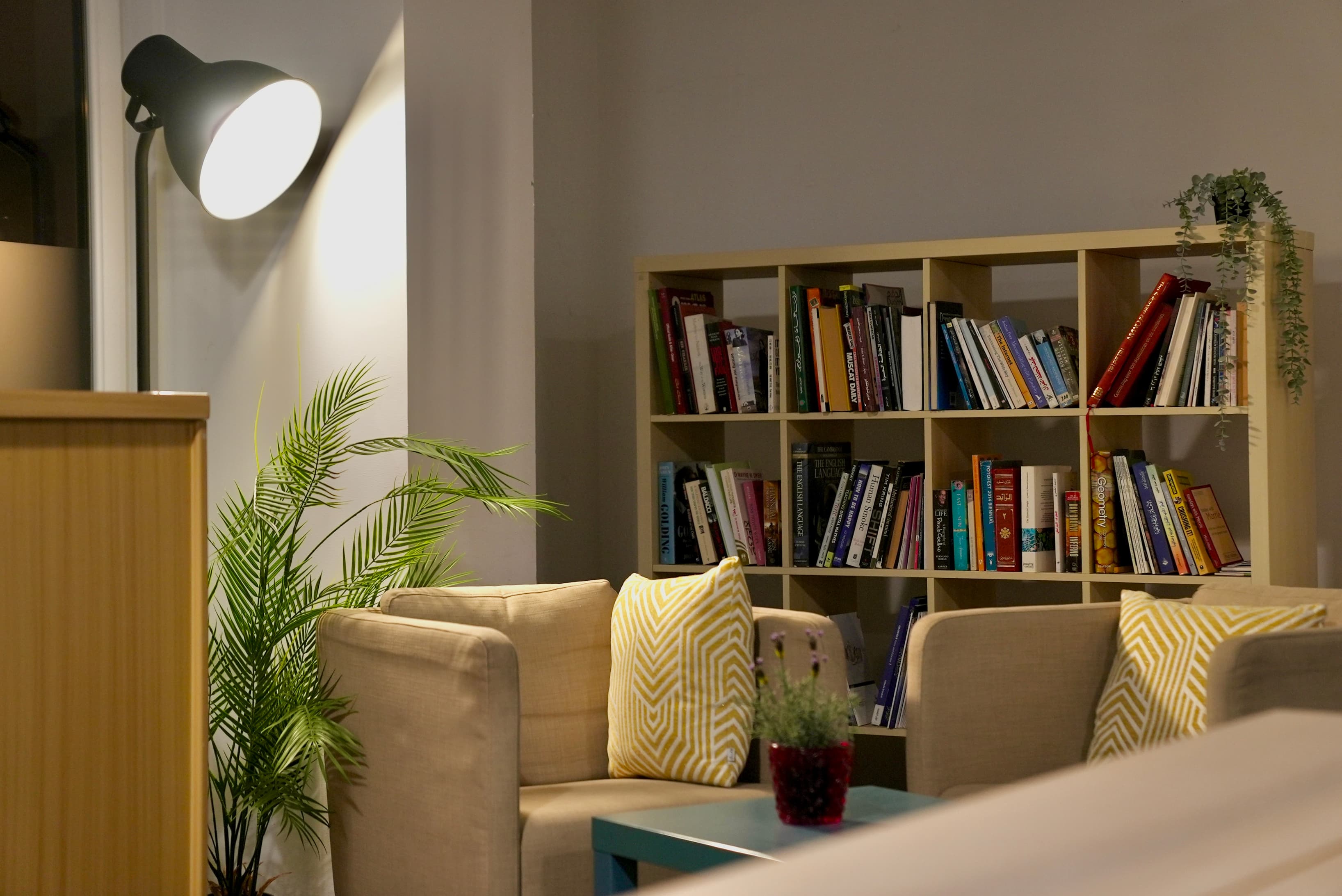 shared space of the center