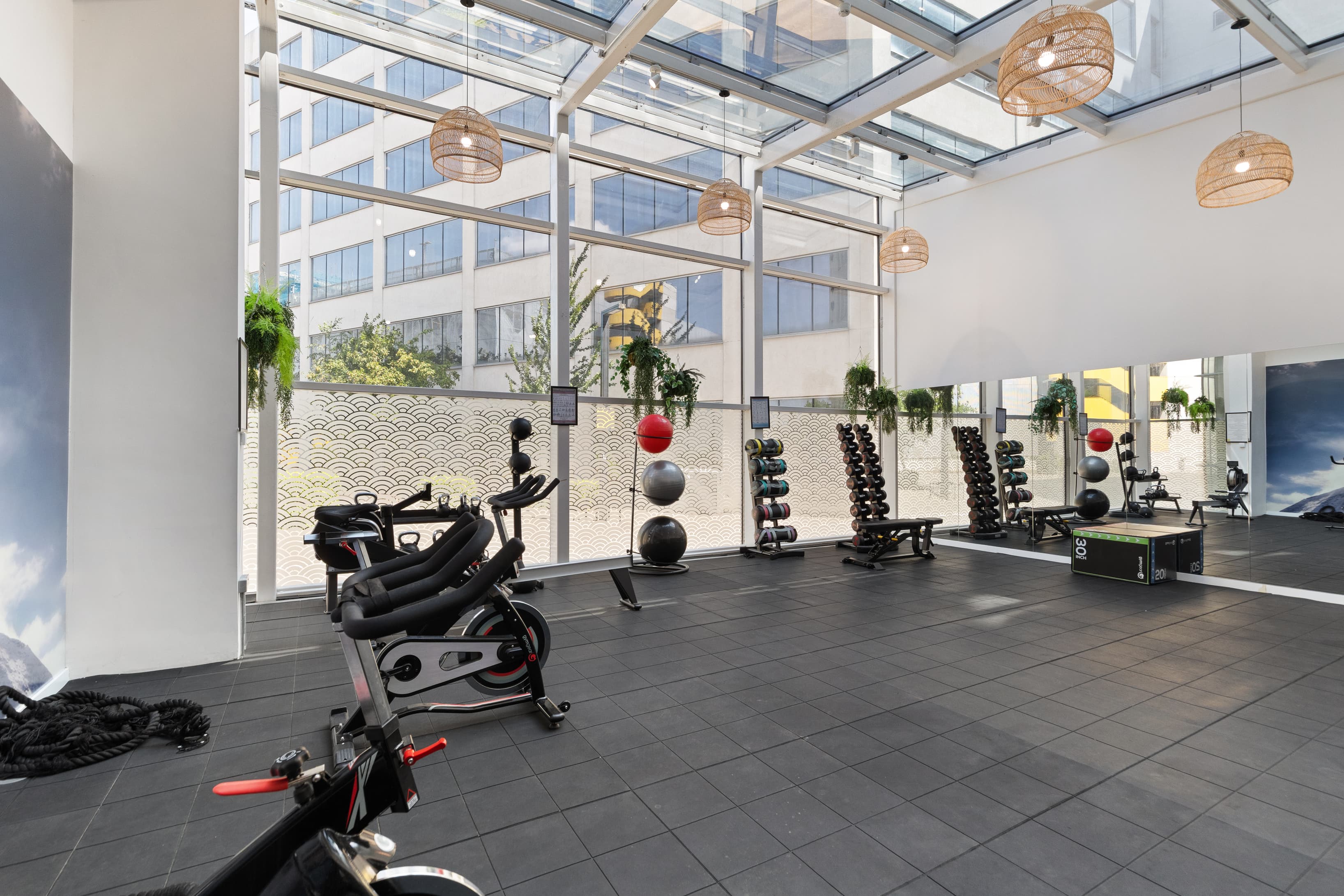 Gym