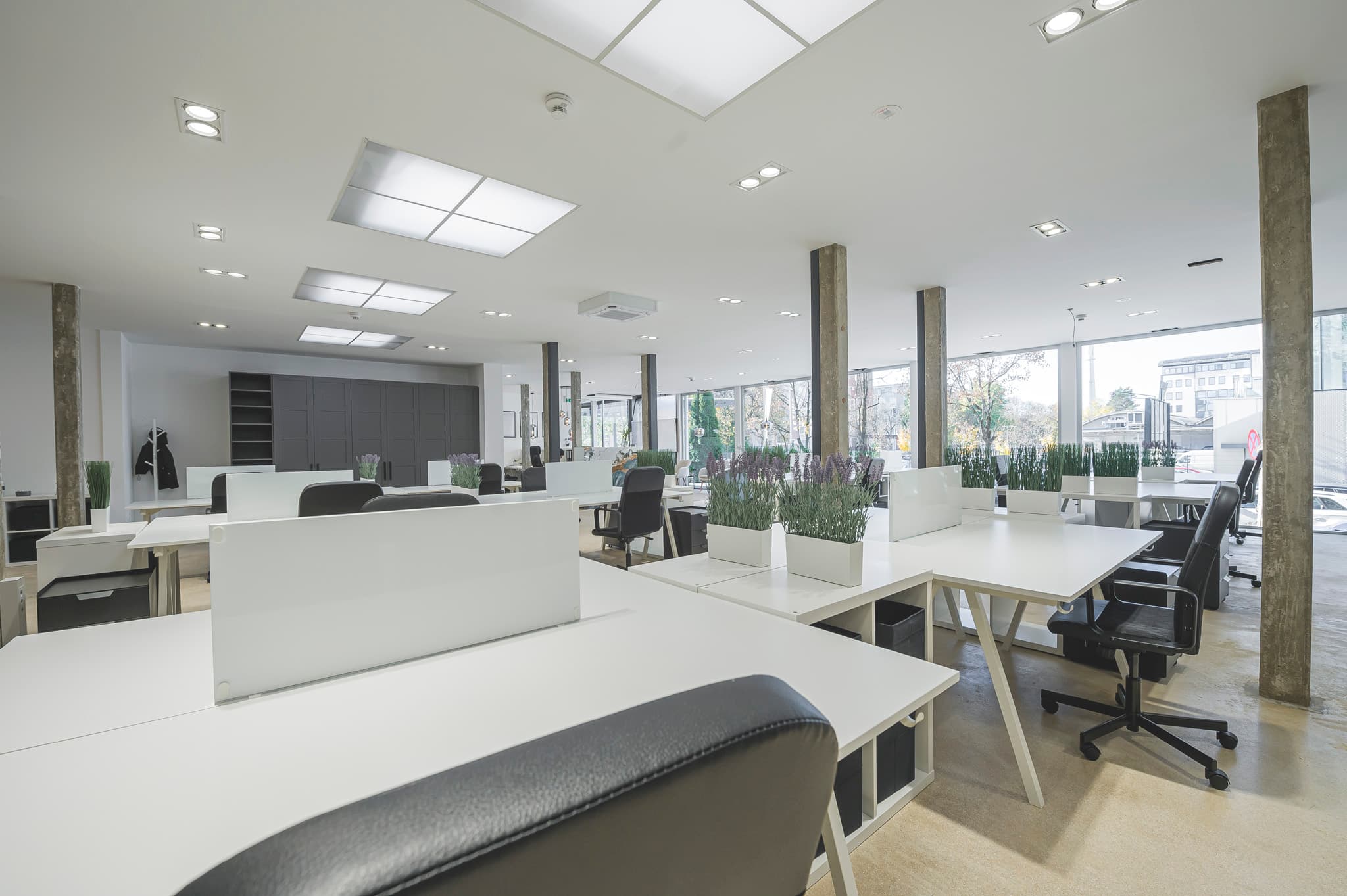 Open coworking spacce