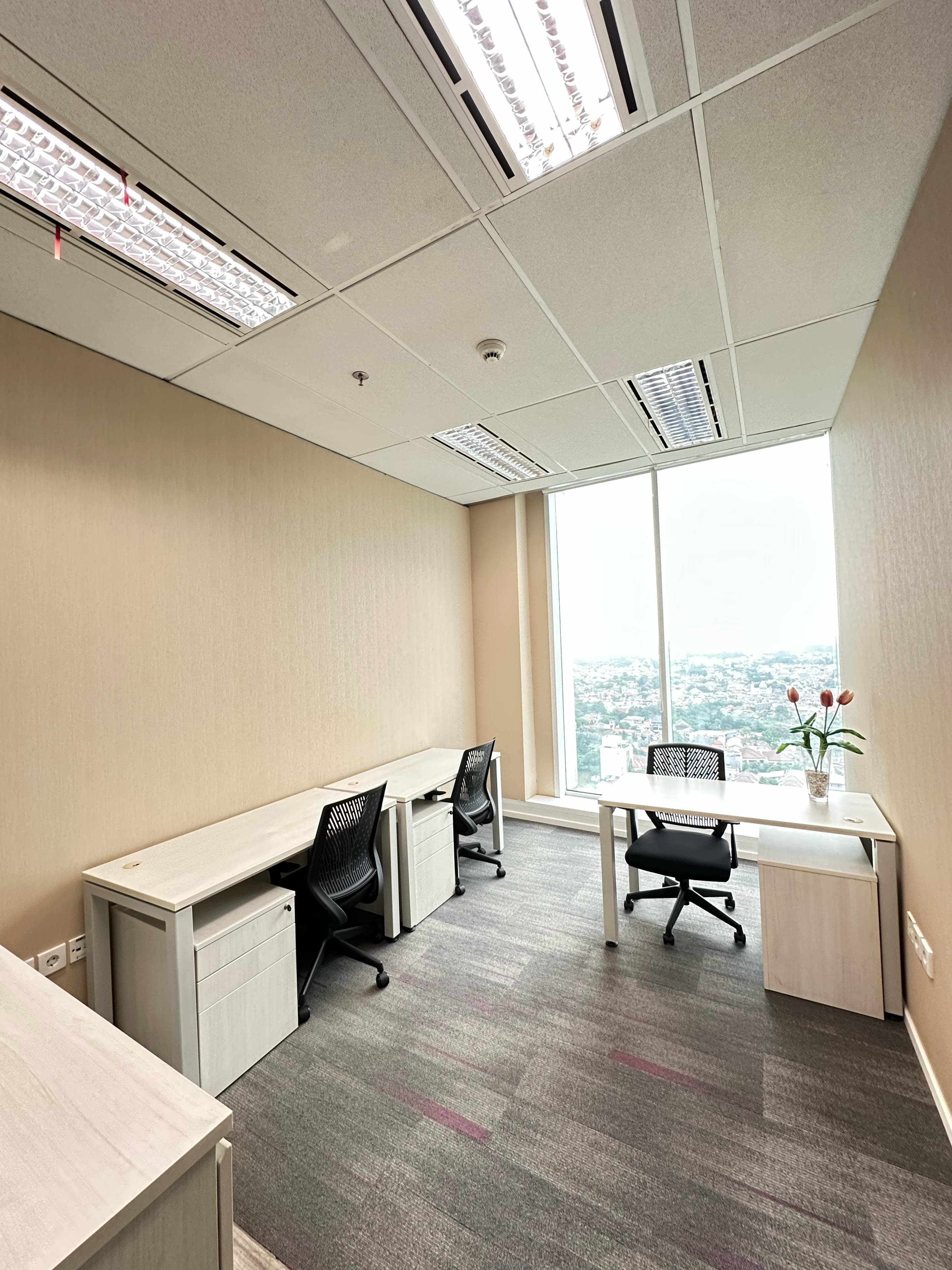Suite Office 