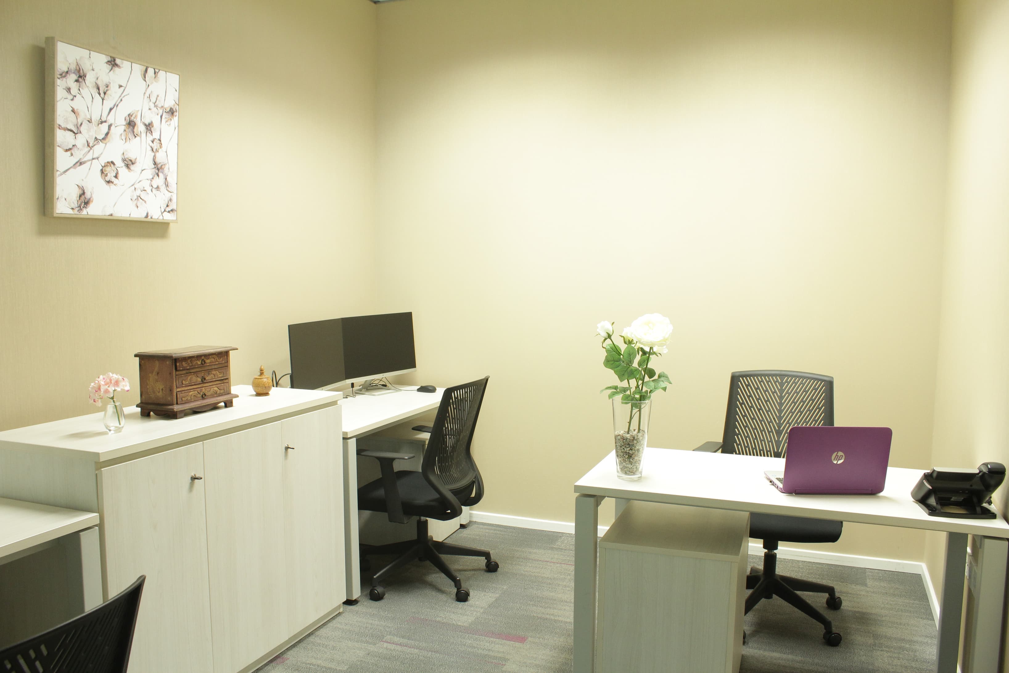 Suite Office
