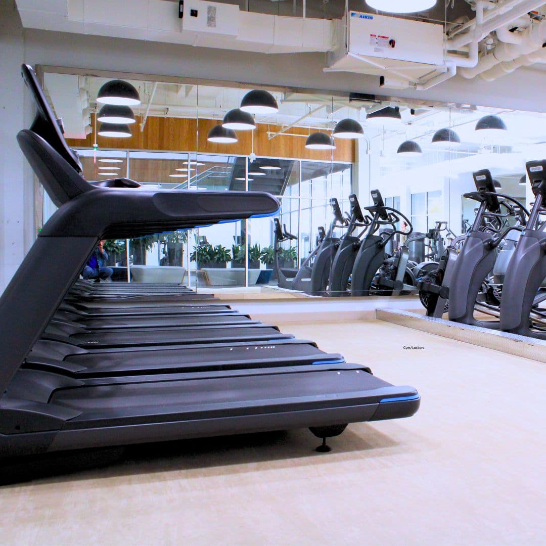 Gym Gym
