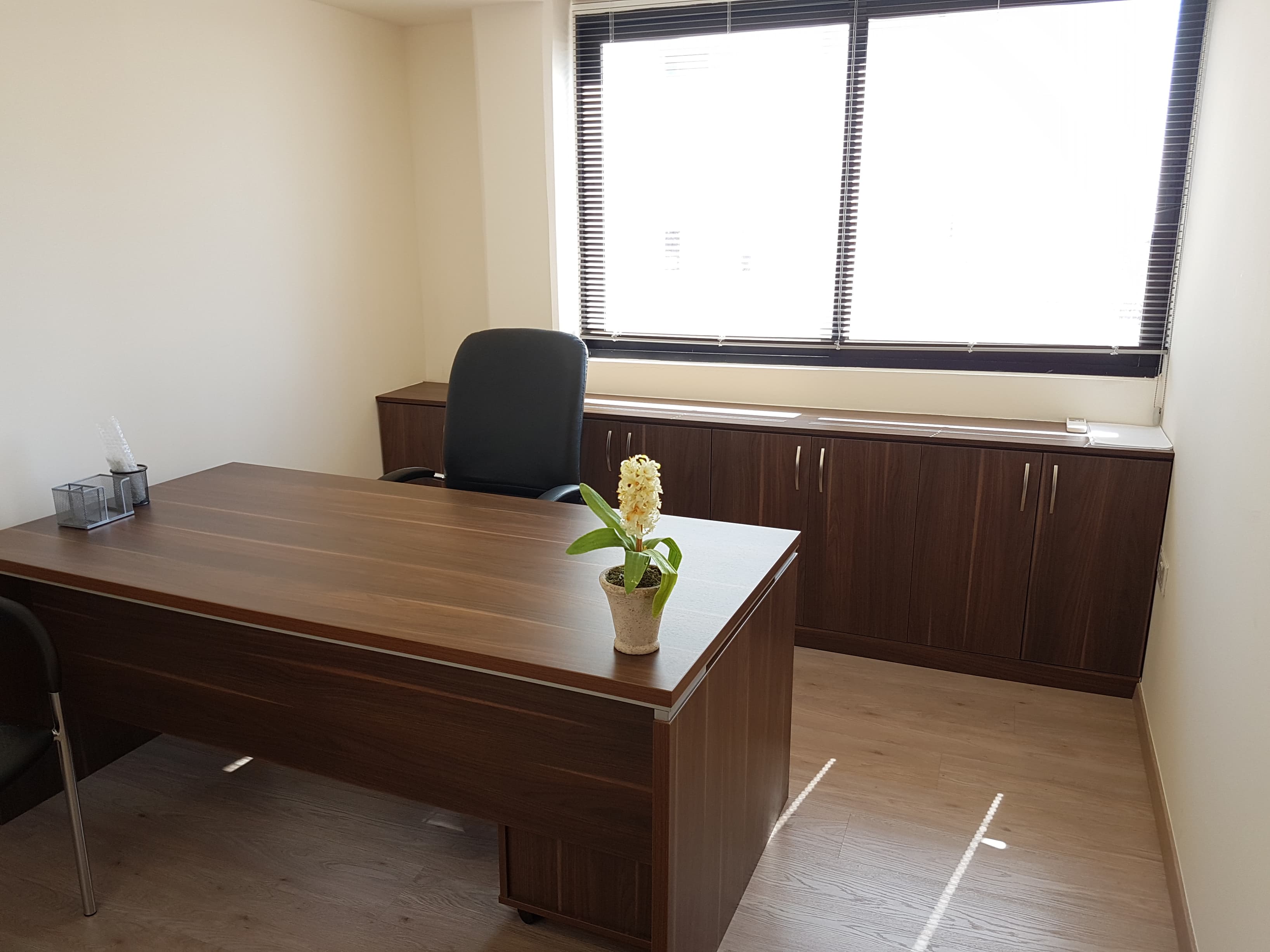 Omega Business Center Private Office Omega Business Center Private Office