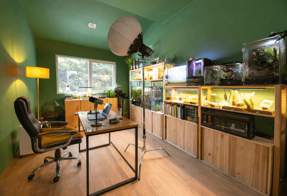 Medium Creative Space