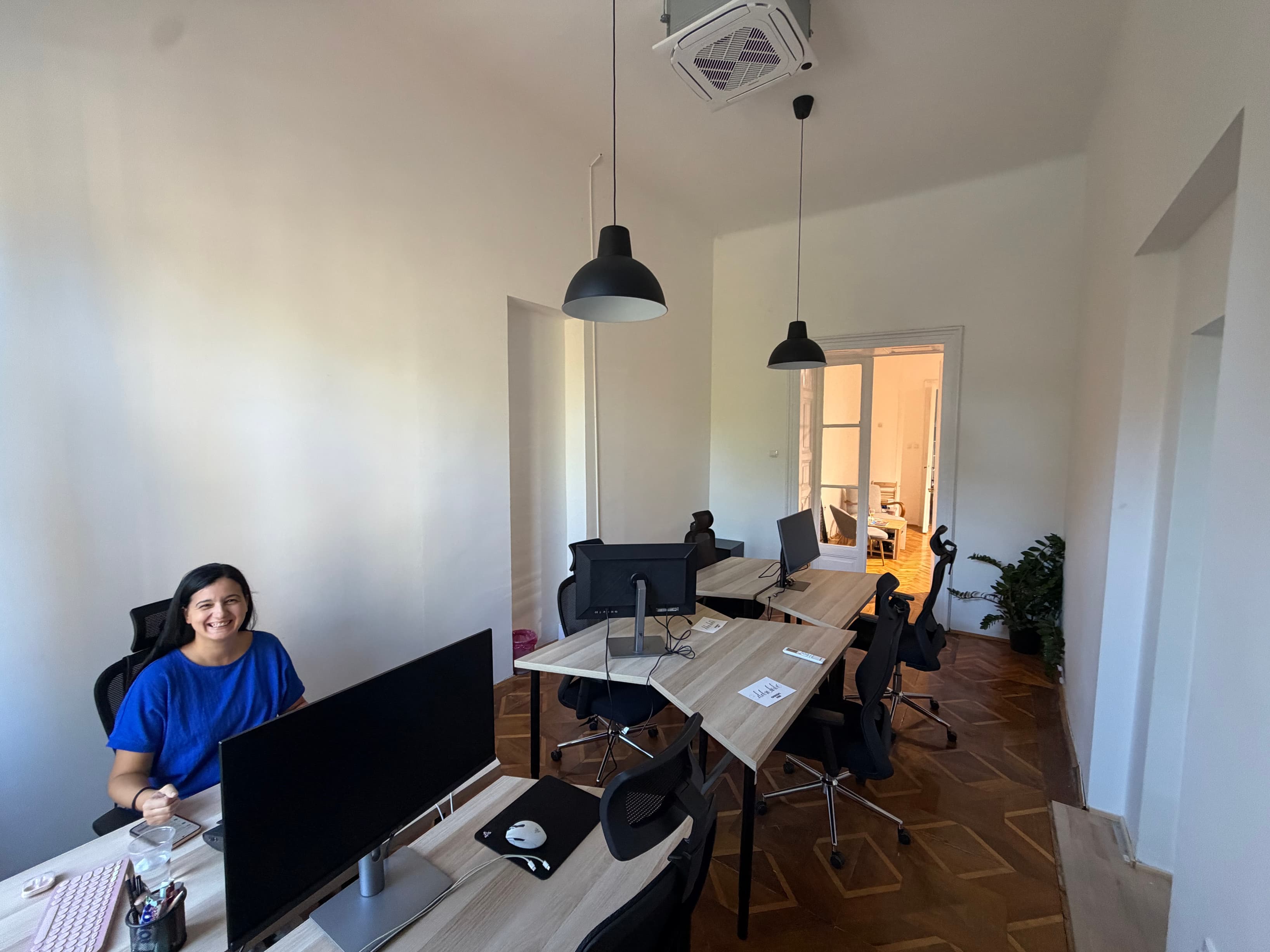 Open Coworking Space Shared desks with external monitors, ergonomic mesh chairs, and plenty of natural light.