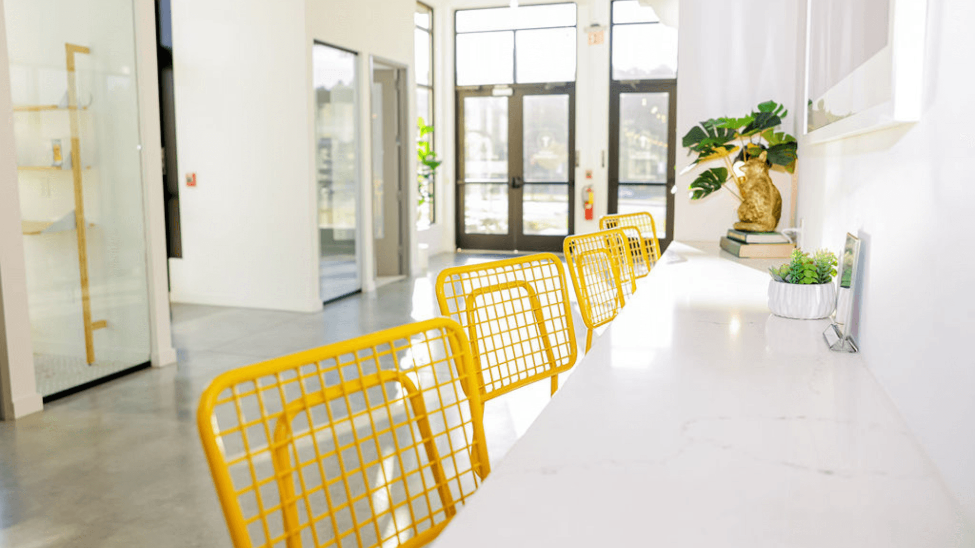 Coworking