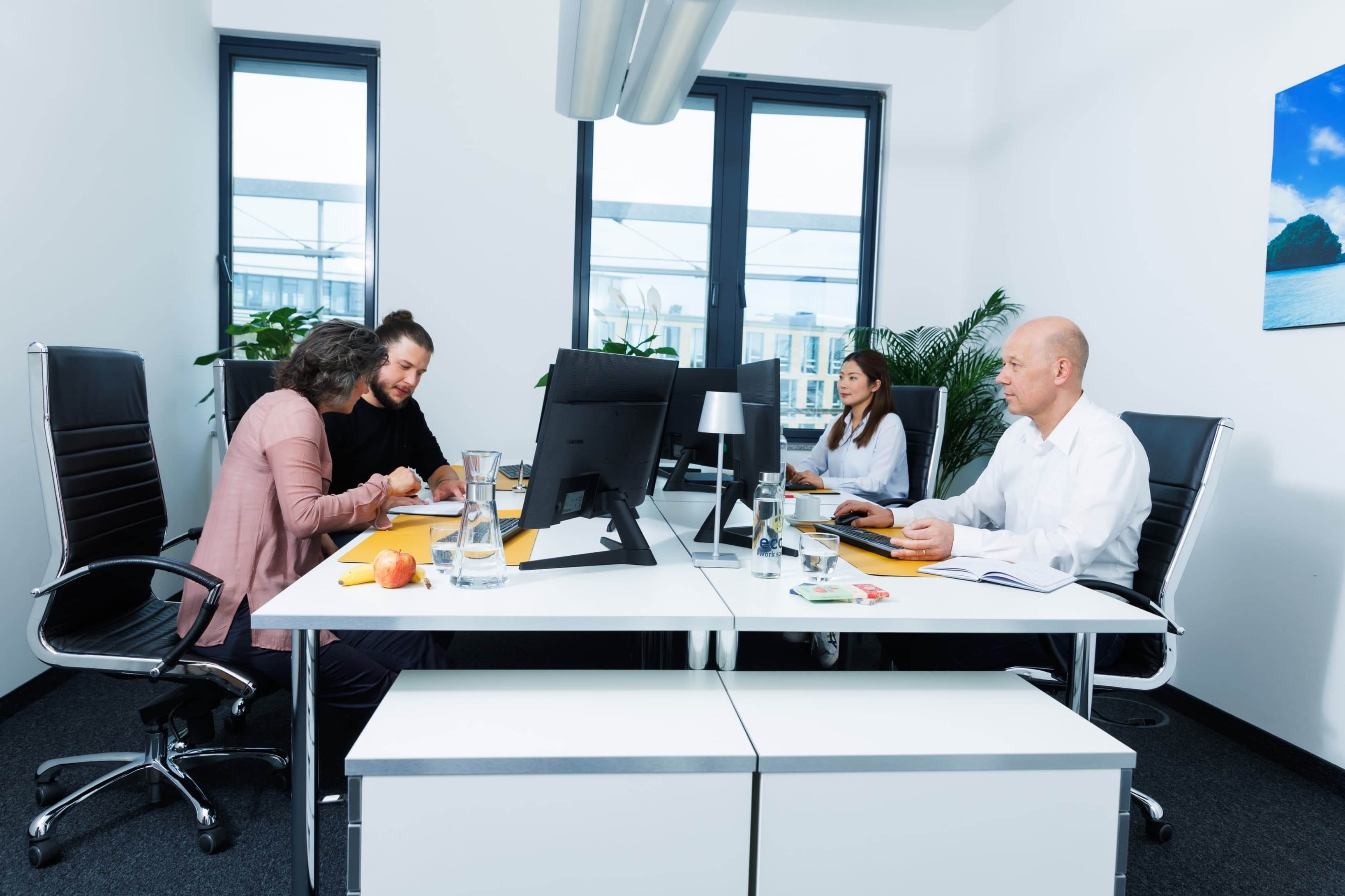 Private office space for  4 people at ecos work spaces Munich